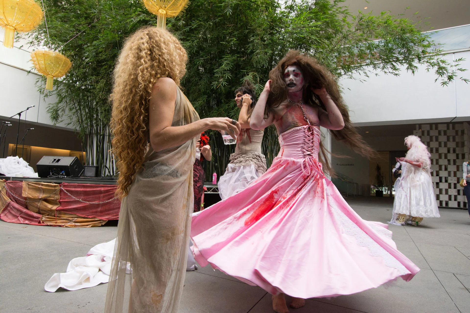 DSC_2385.jpg