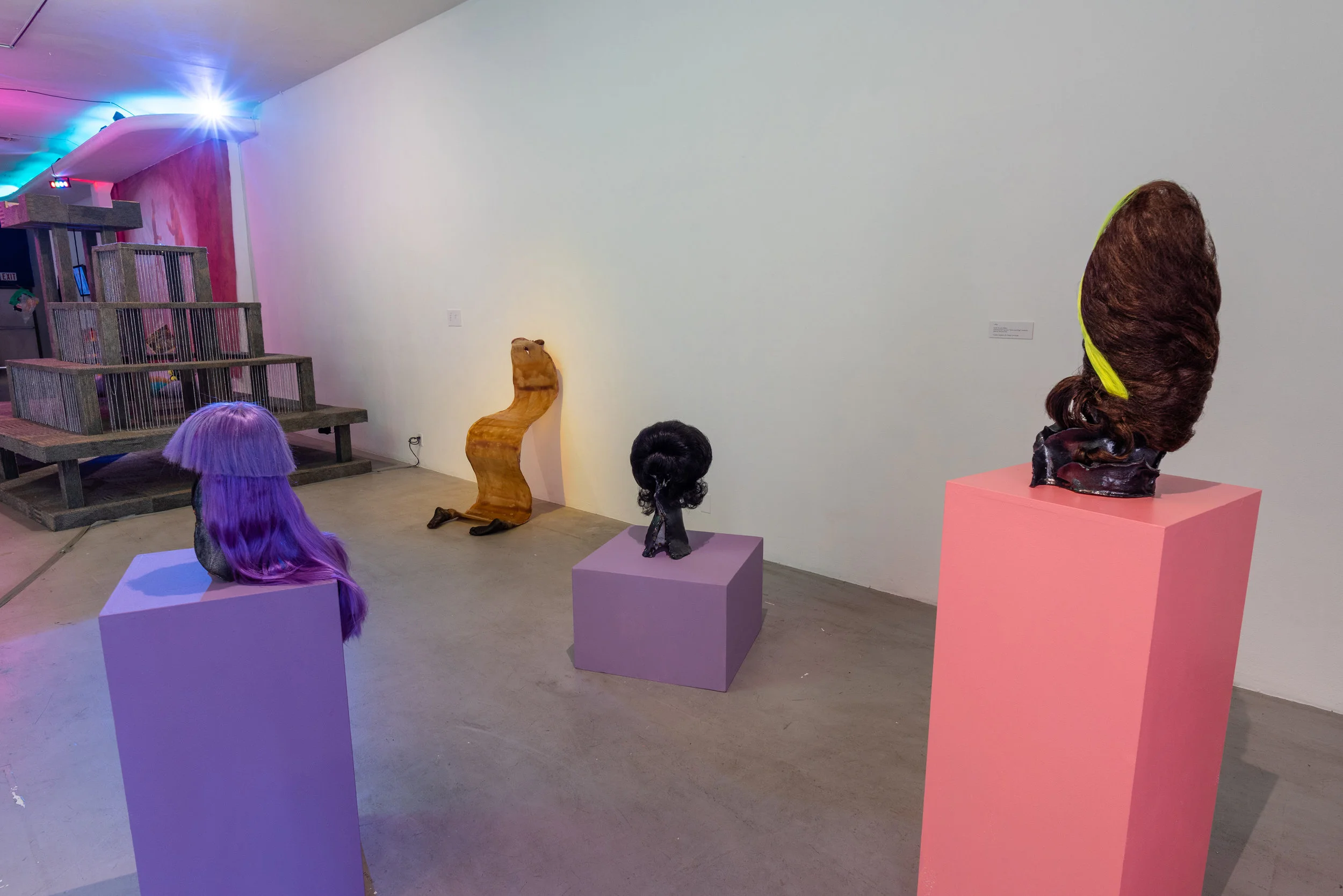 CAVERNOUS_Kwak and Mutant Salon - LACE Install Shots_1.jpg
