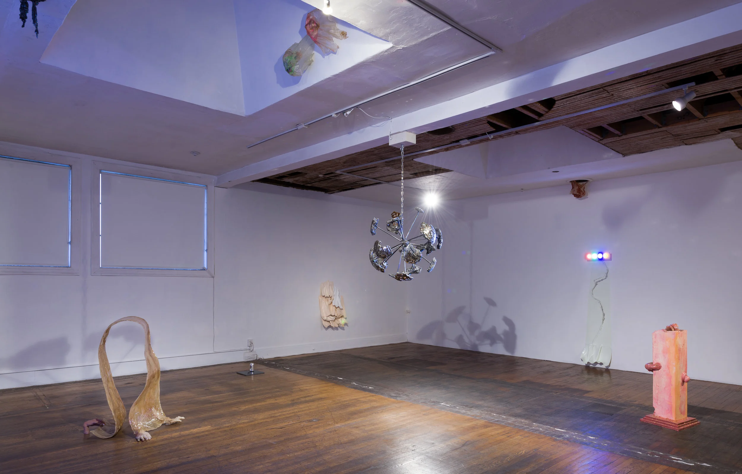 Hermy (Installation View)