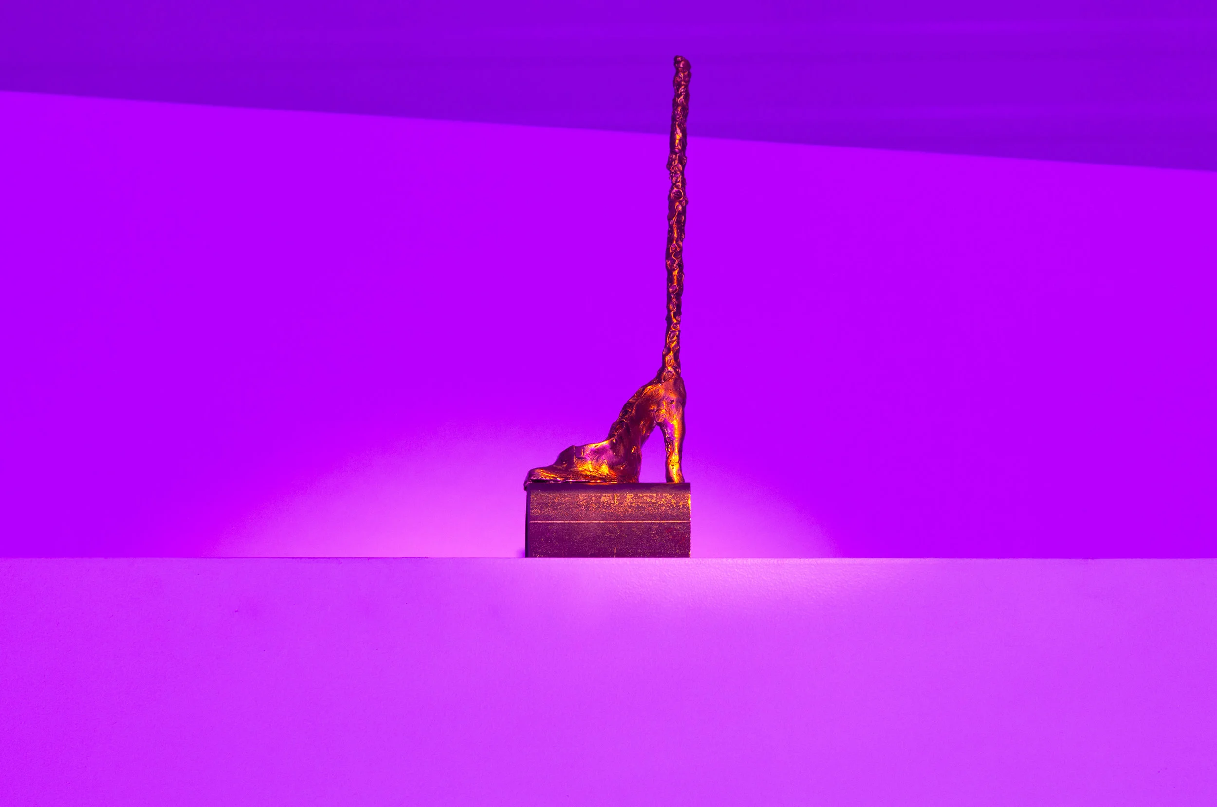 shining_palimpsest-17.jpg