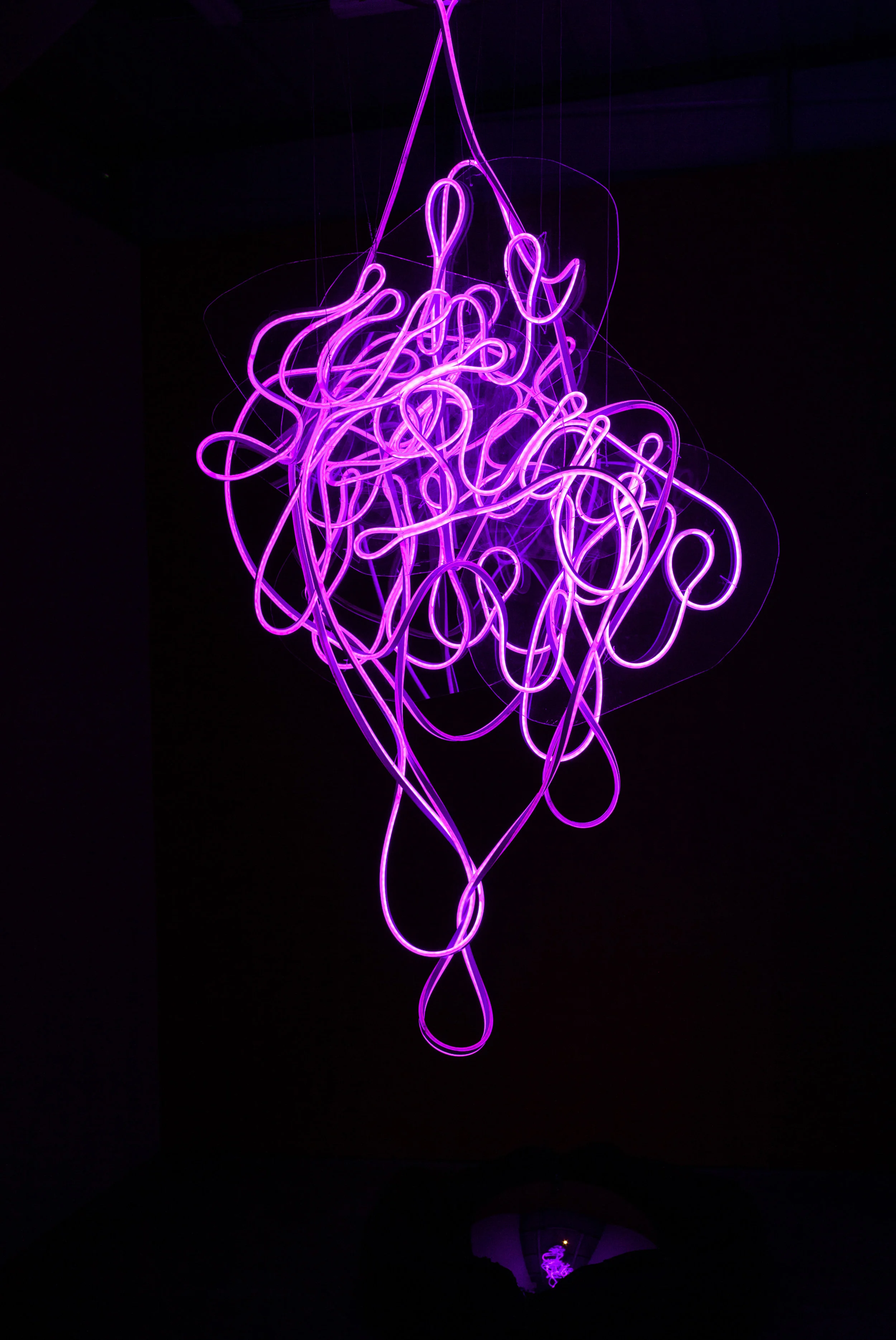 shining_palimpsest-19.jpg