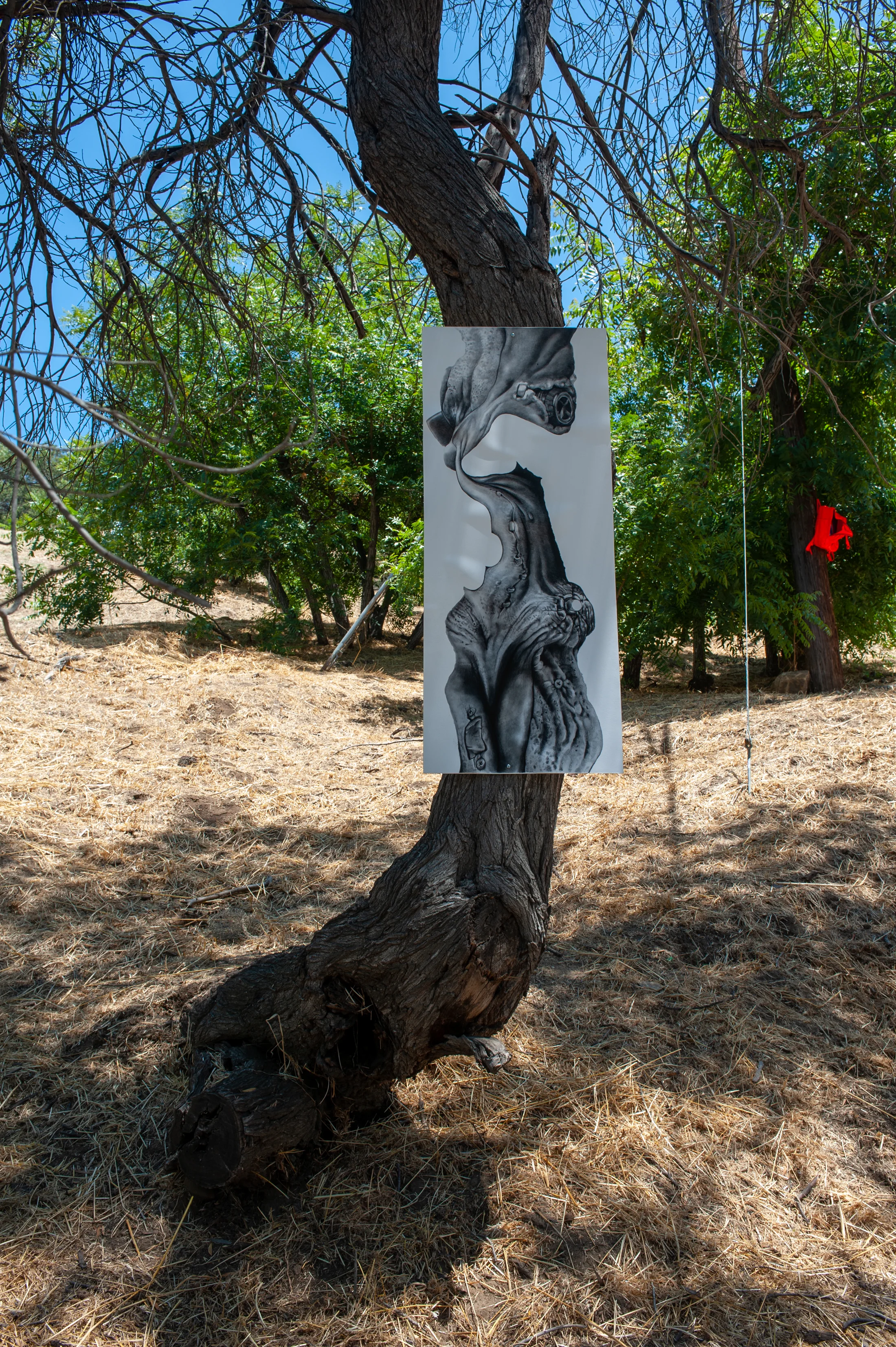 Dildo (Tree)