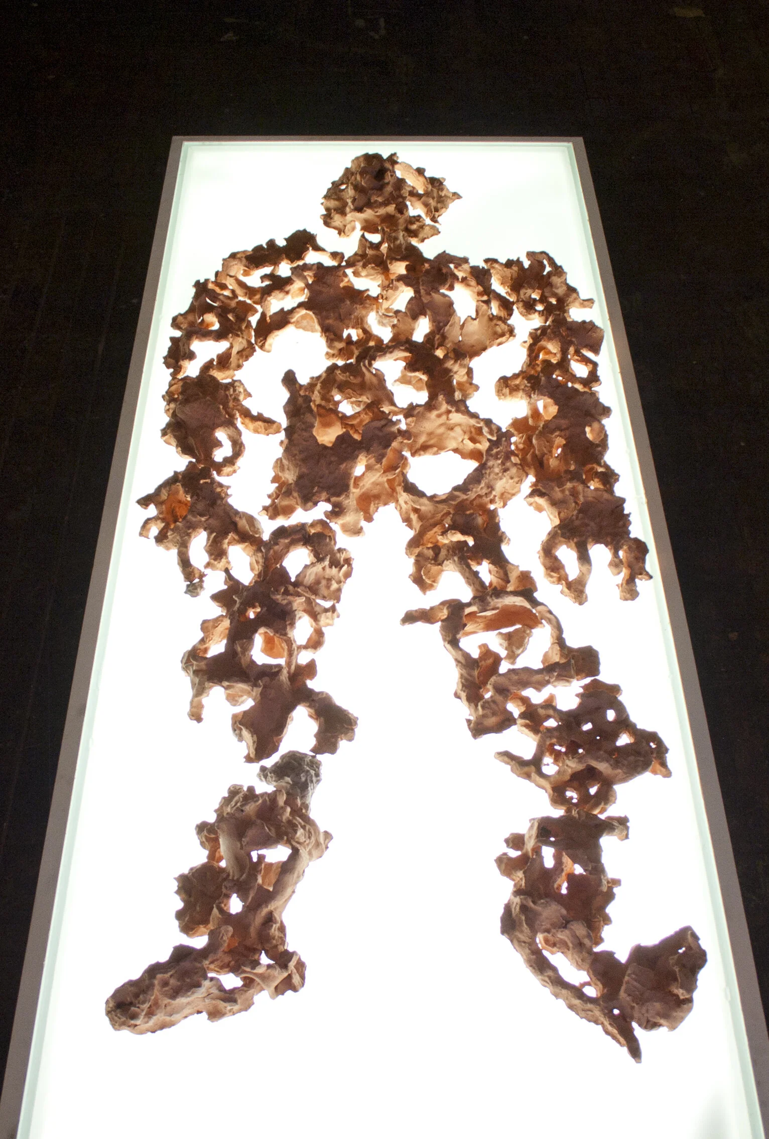 38016332856.jpg