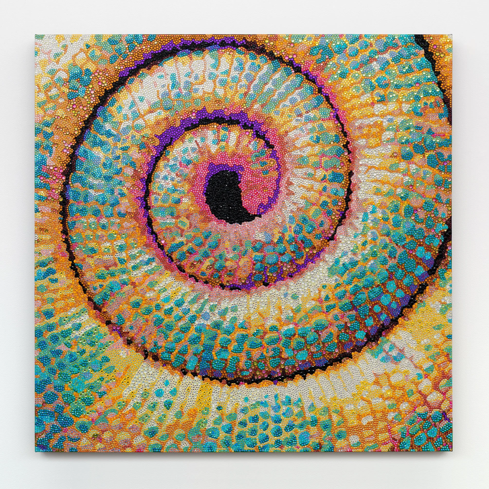   To See Your Self Reflected in Our Chameleonic Transformations  