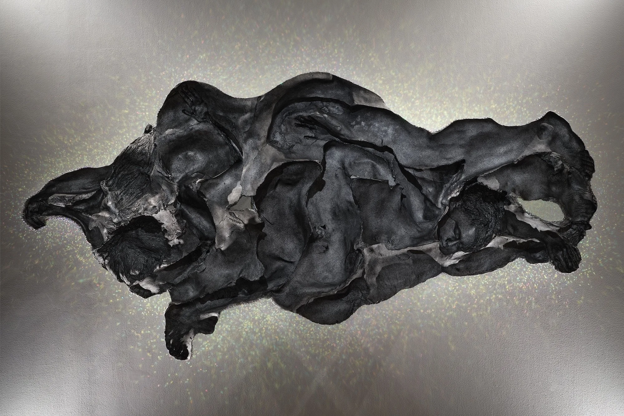 2025_01_11_CC56155.jpg