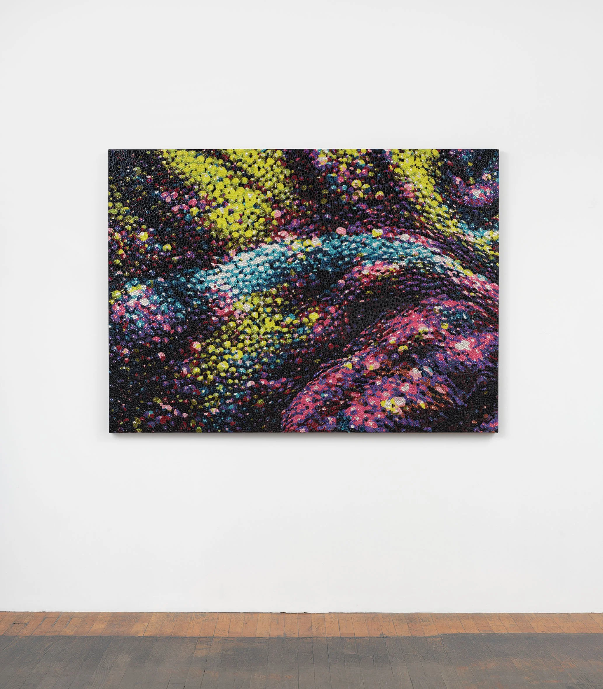   To See Your Self Reflected in Our Chameleonic Transformations (Held Together) , 2026 48 x 66 x 2 ¼ in Acrylic, glass and resin rhinestones on canvas, Baltic birch panel   