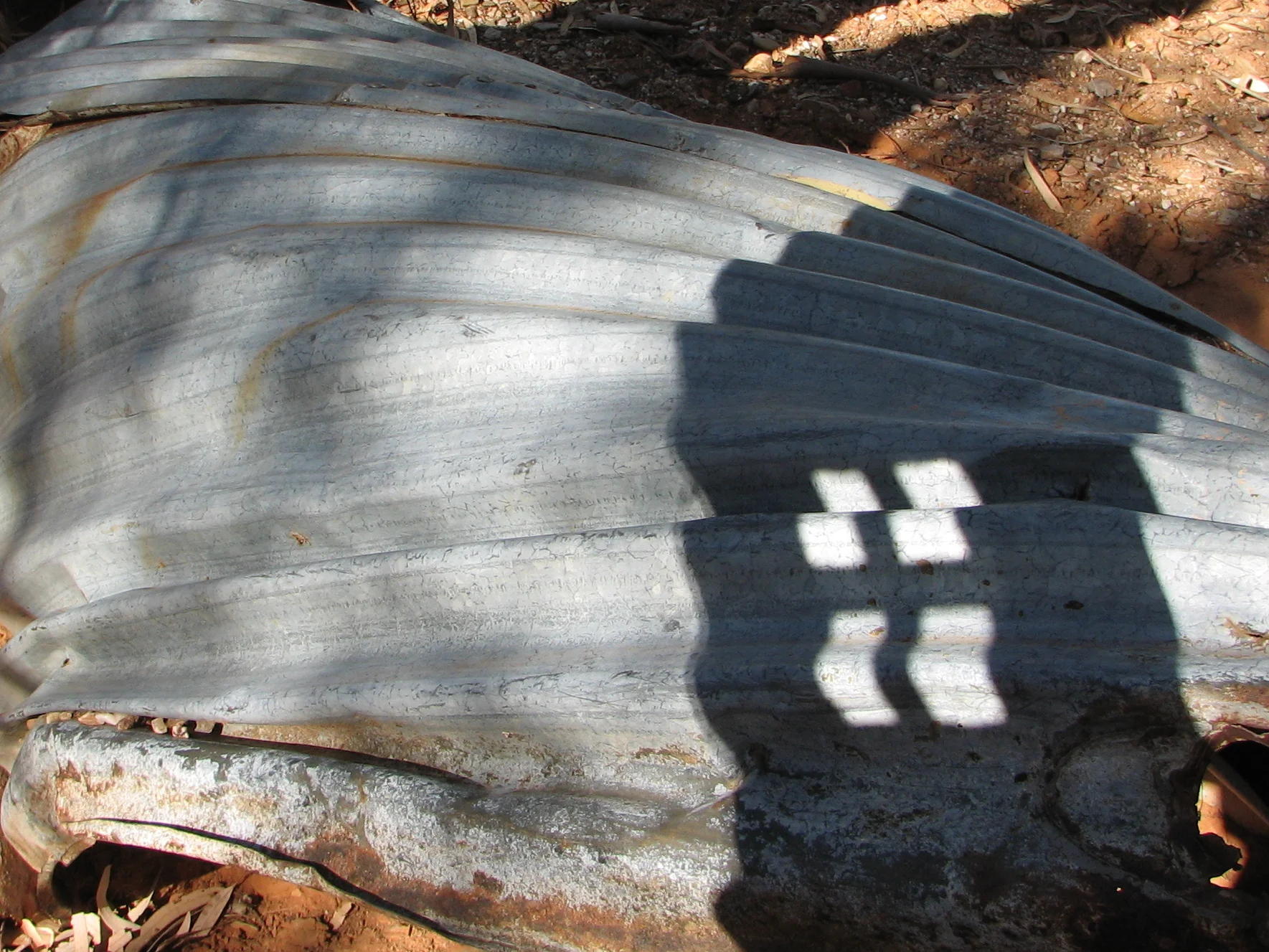 IMG_1928x - Copy.JPG