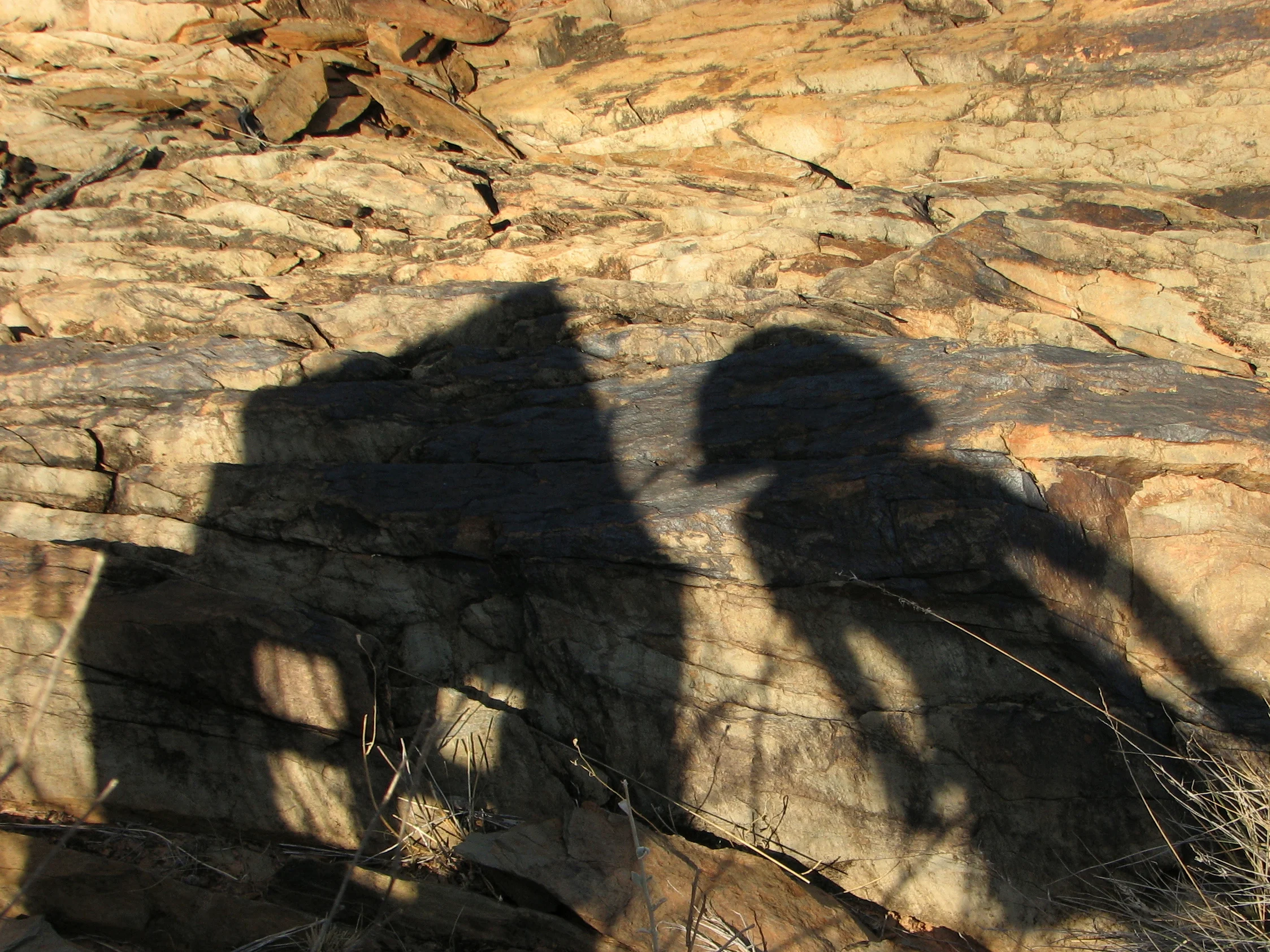 IMG_1969x - Copy.JPG