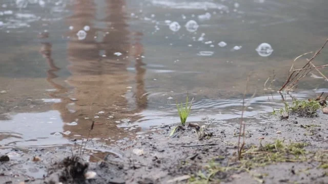 Not a day on any calendar, 2018 Terhi Hakola