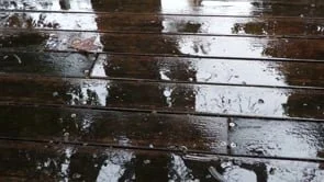 Äiti-Puu (Mother-Tree) 2026