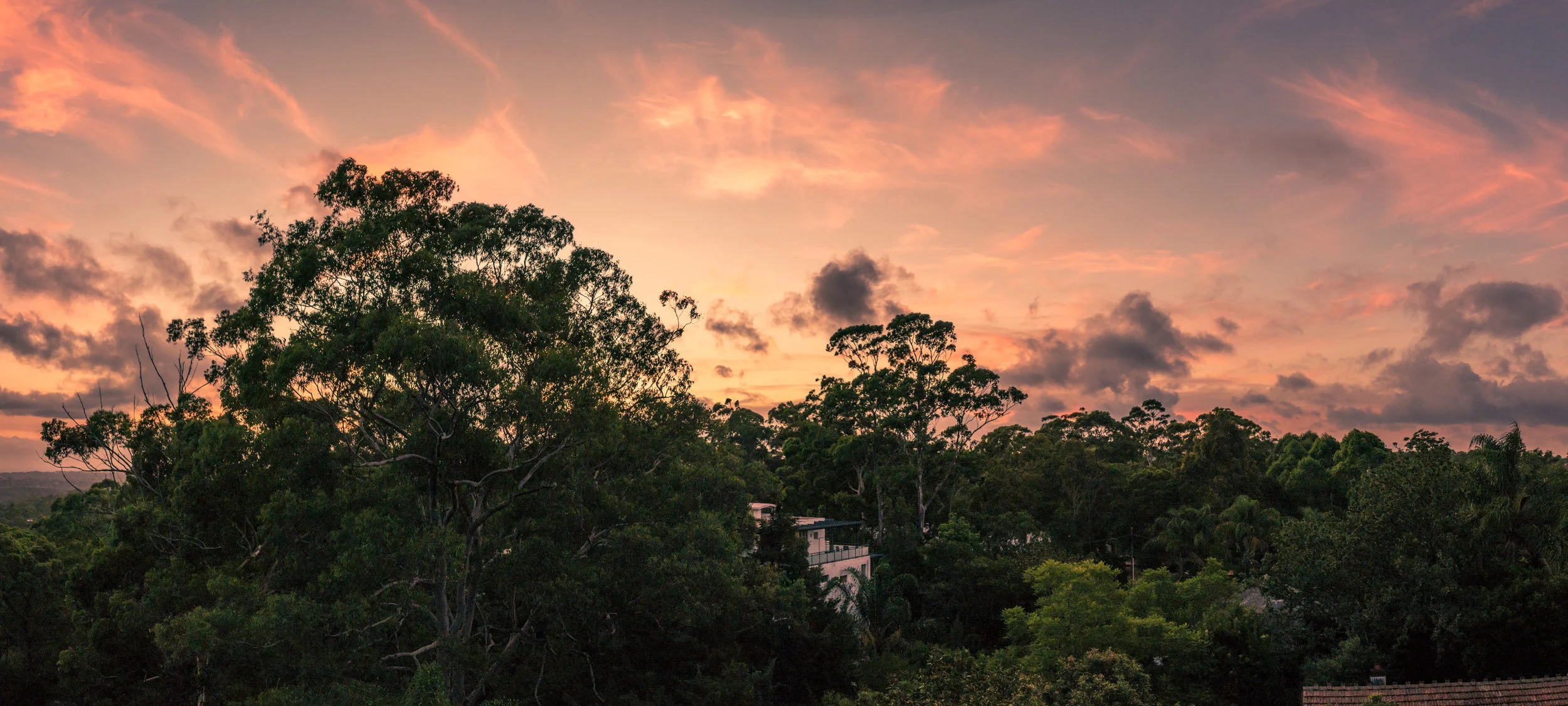 Turramurra_Sunset_web.jpg