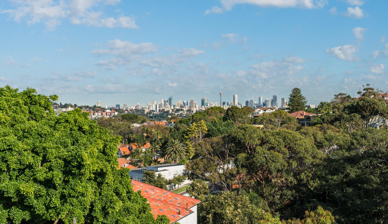 rosebay development before-2.jpg