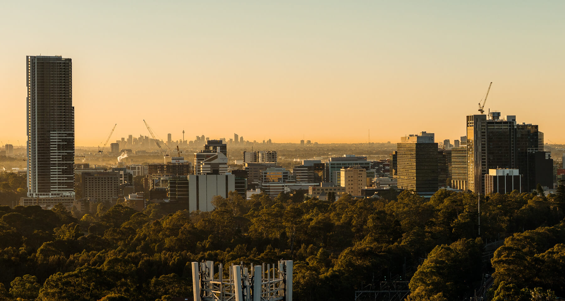 Parramatta Sunrise