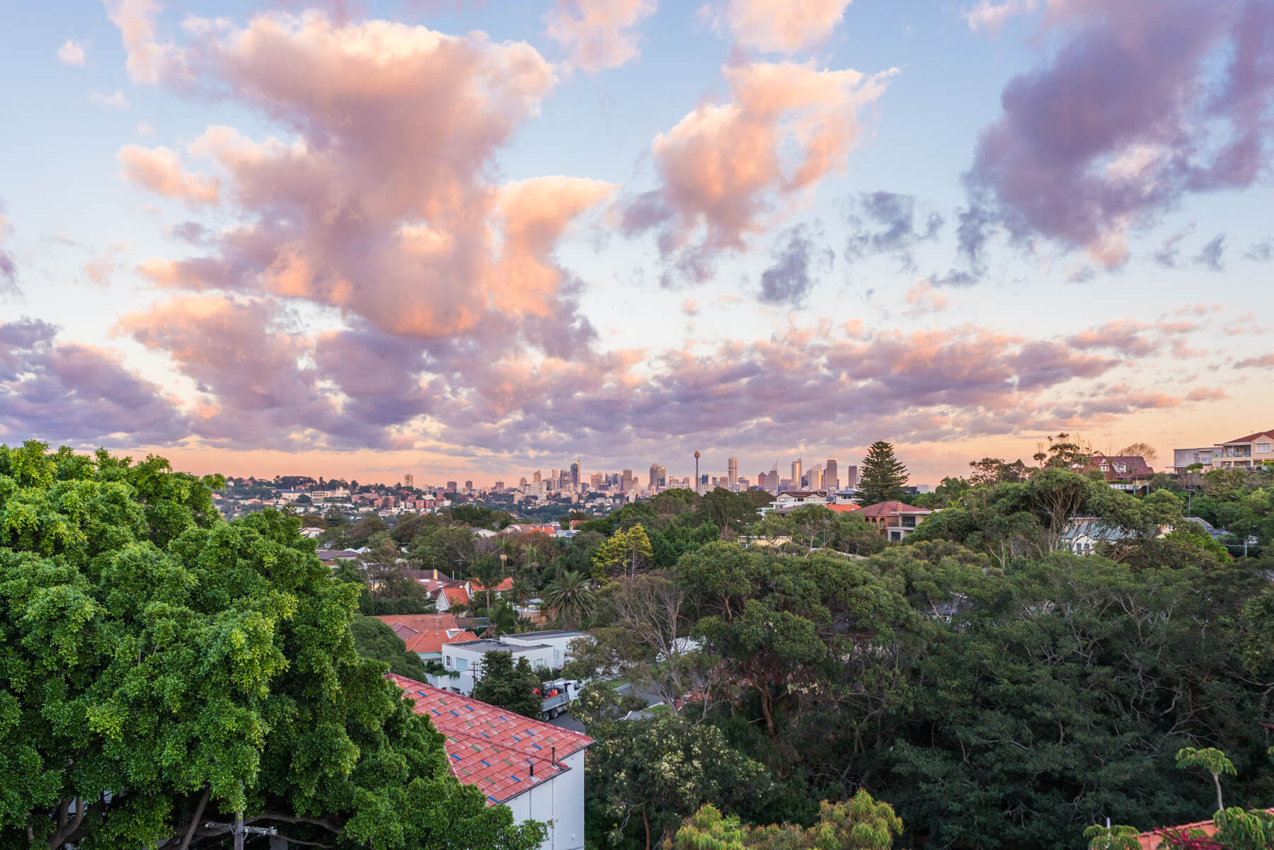 Rose Bay Apartment View