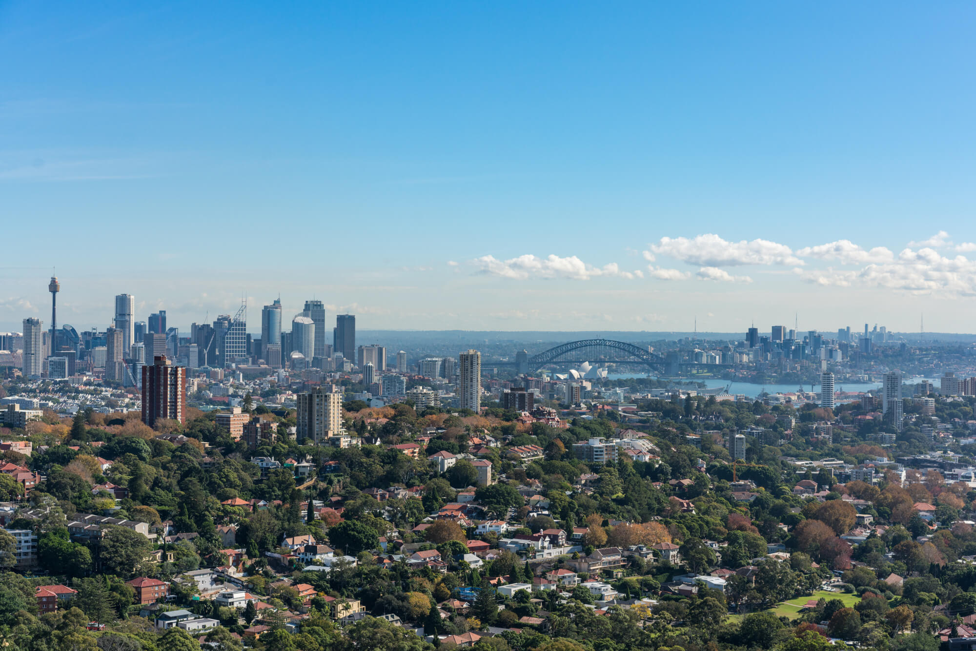 Bondi Junction Harbour View