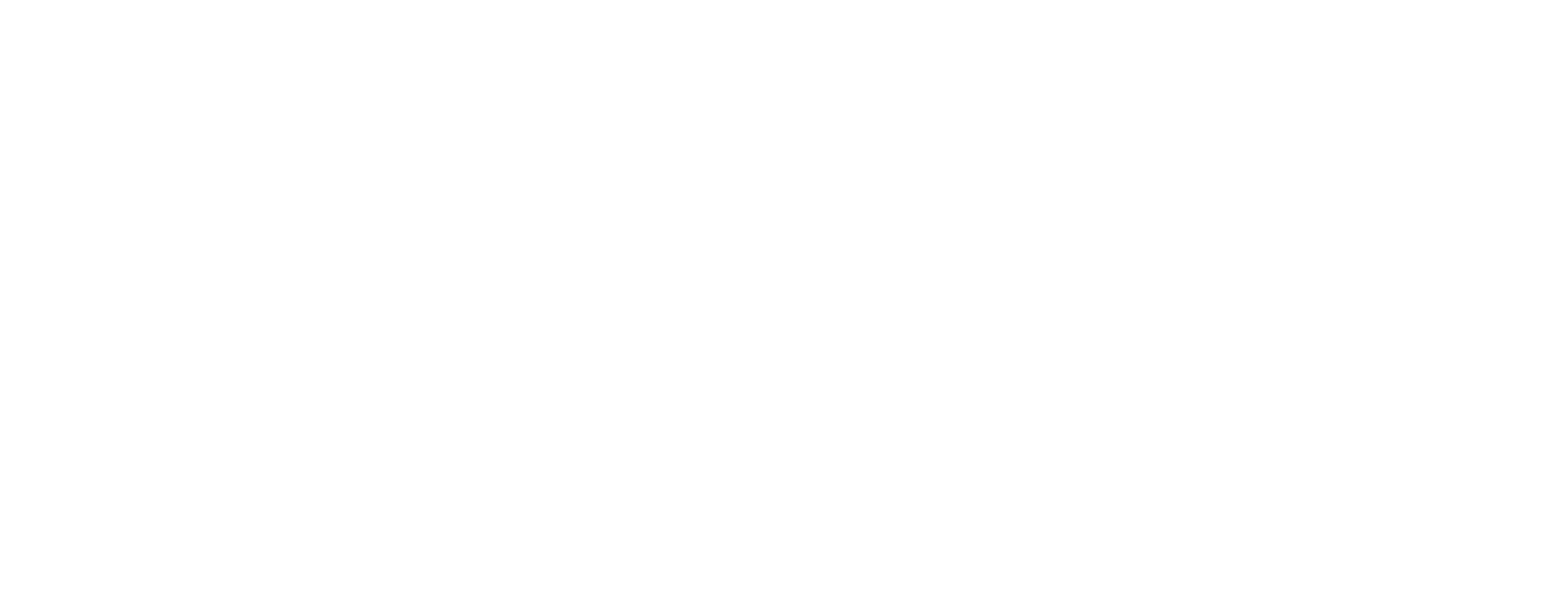 Airview Drone Services