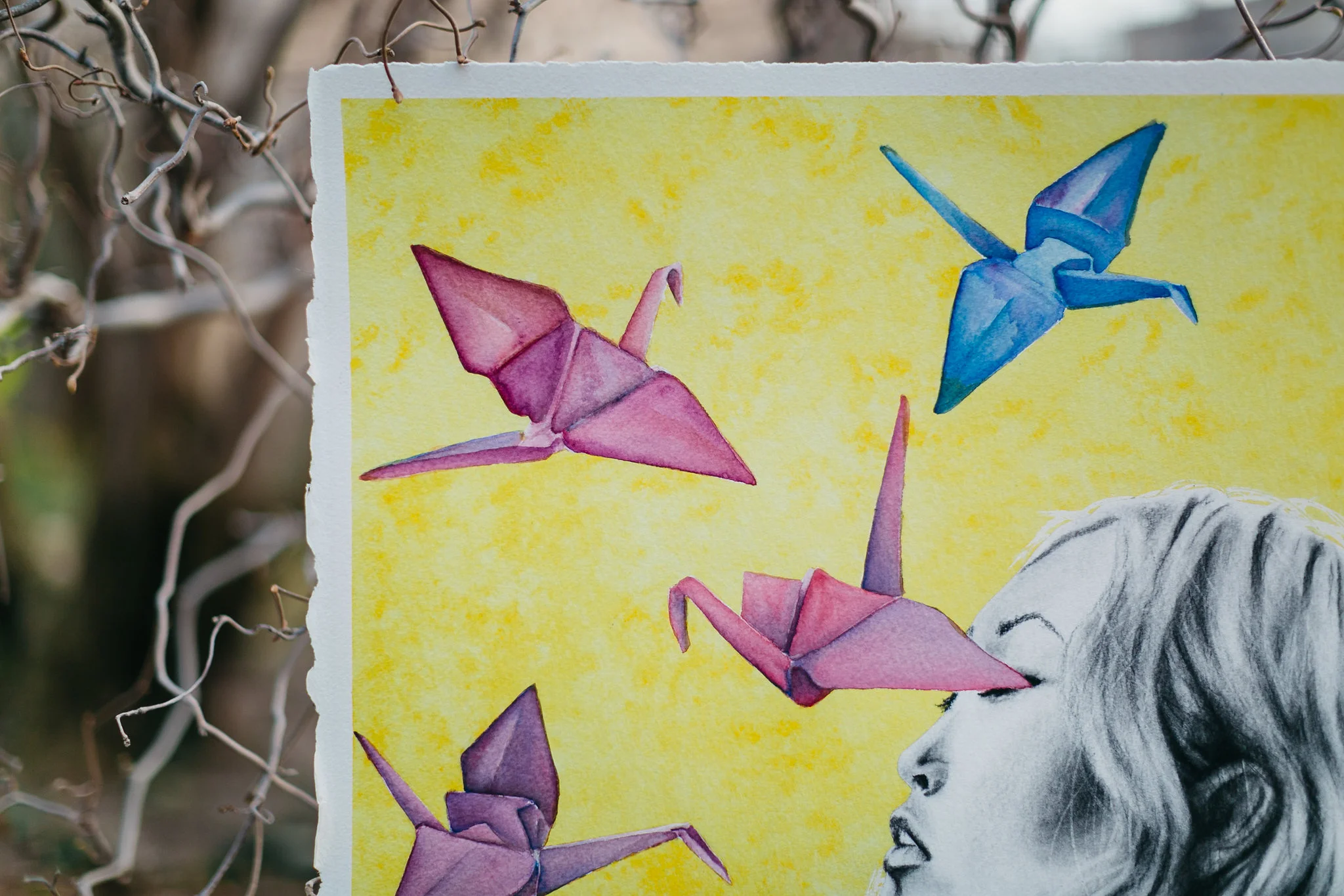 Paper Cranes