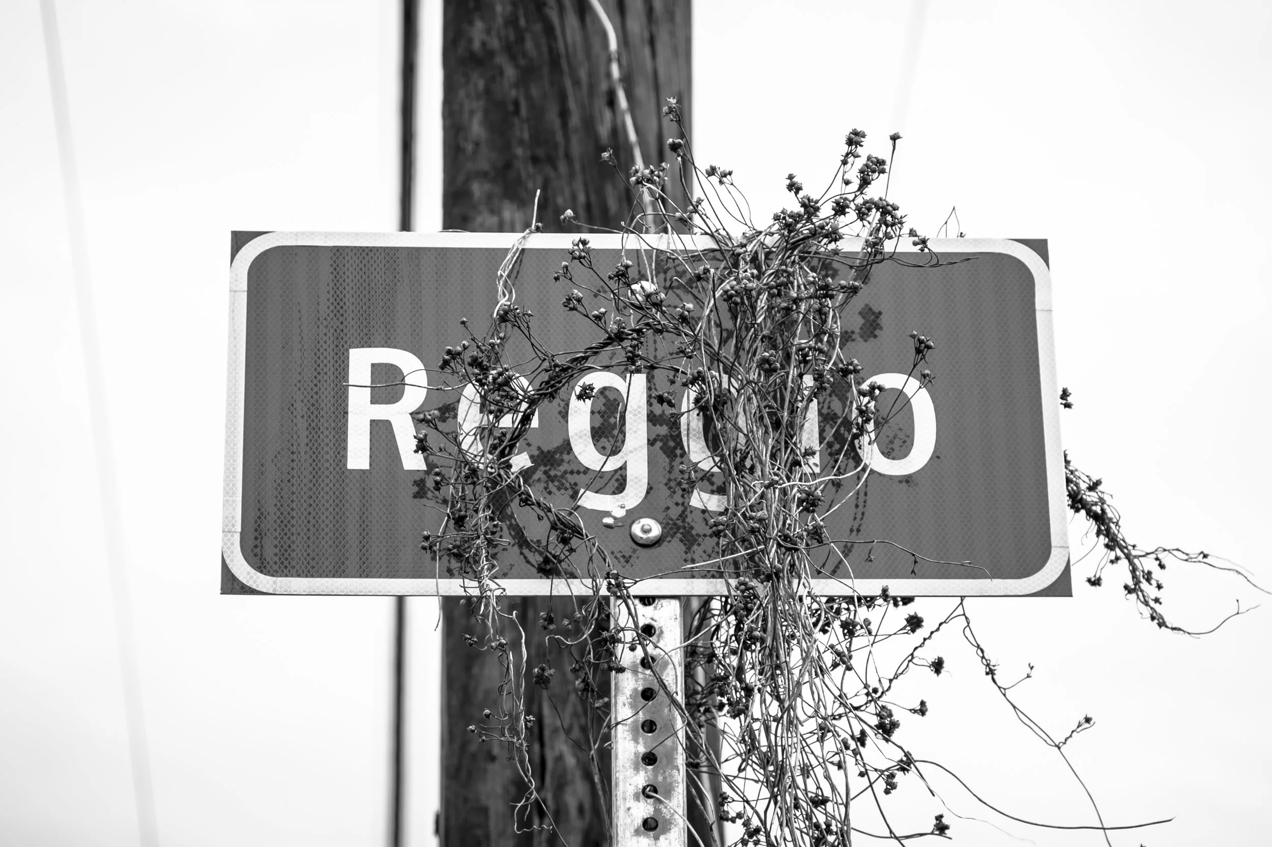 Reggio 3335_©ericjnunez 2016 FR.jpg
