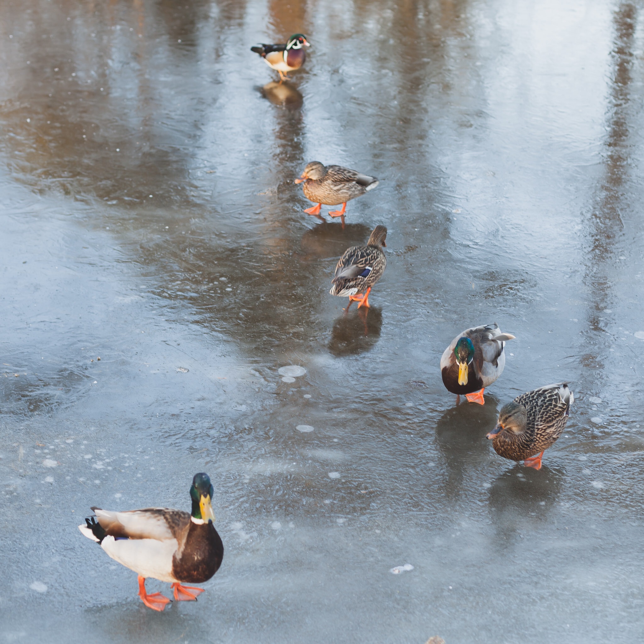 10 Winter Activities in South Delta