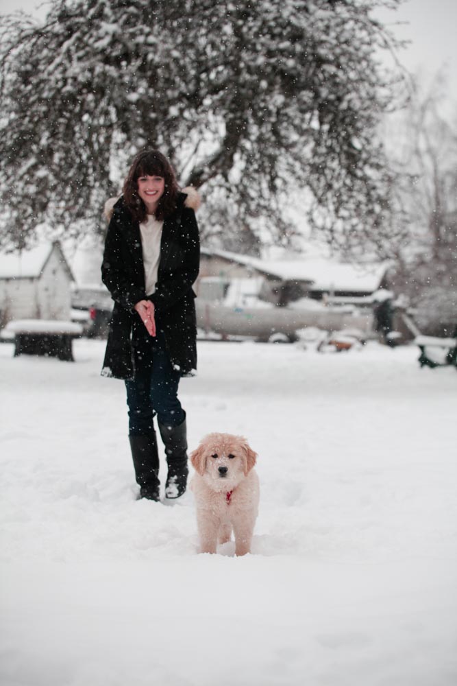 Puppy Snow Day