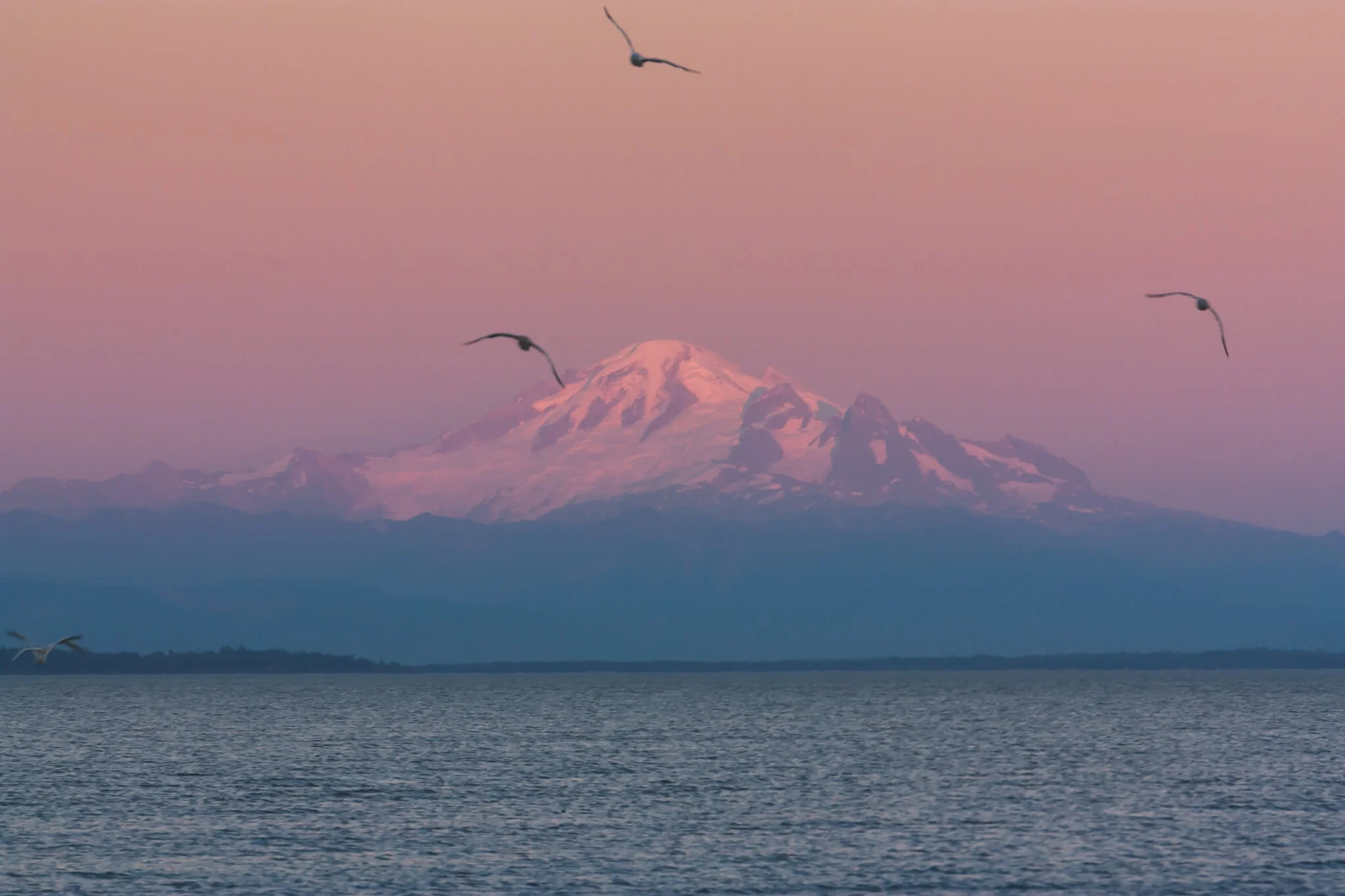 Point Roberts (31 of 35).jpg
