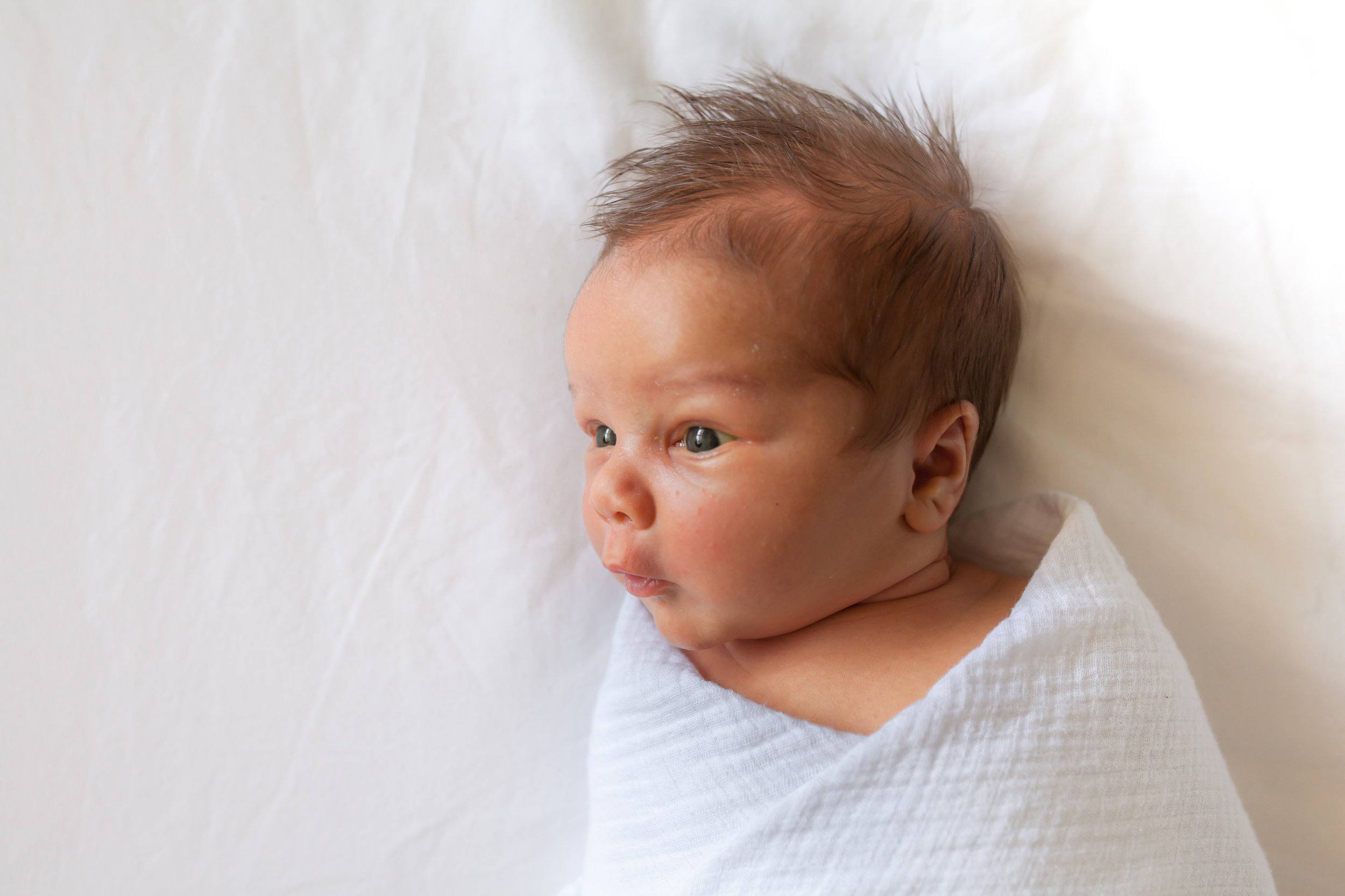 Charlie Newborn Photos-3.jpg