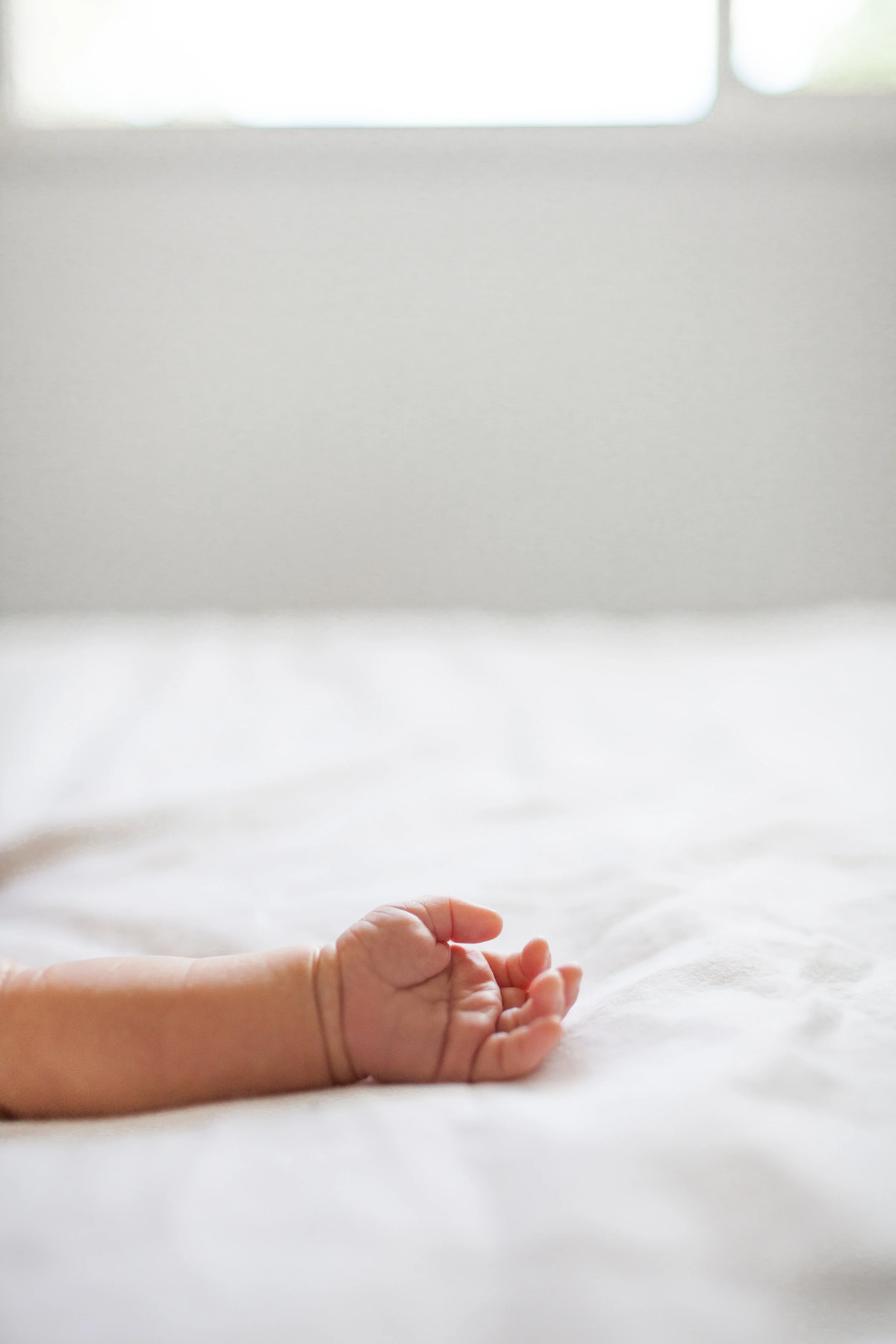 Charlie Newborn Photos-9.jpg