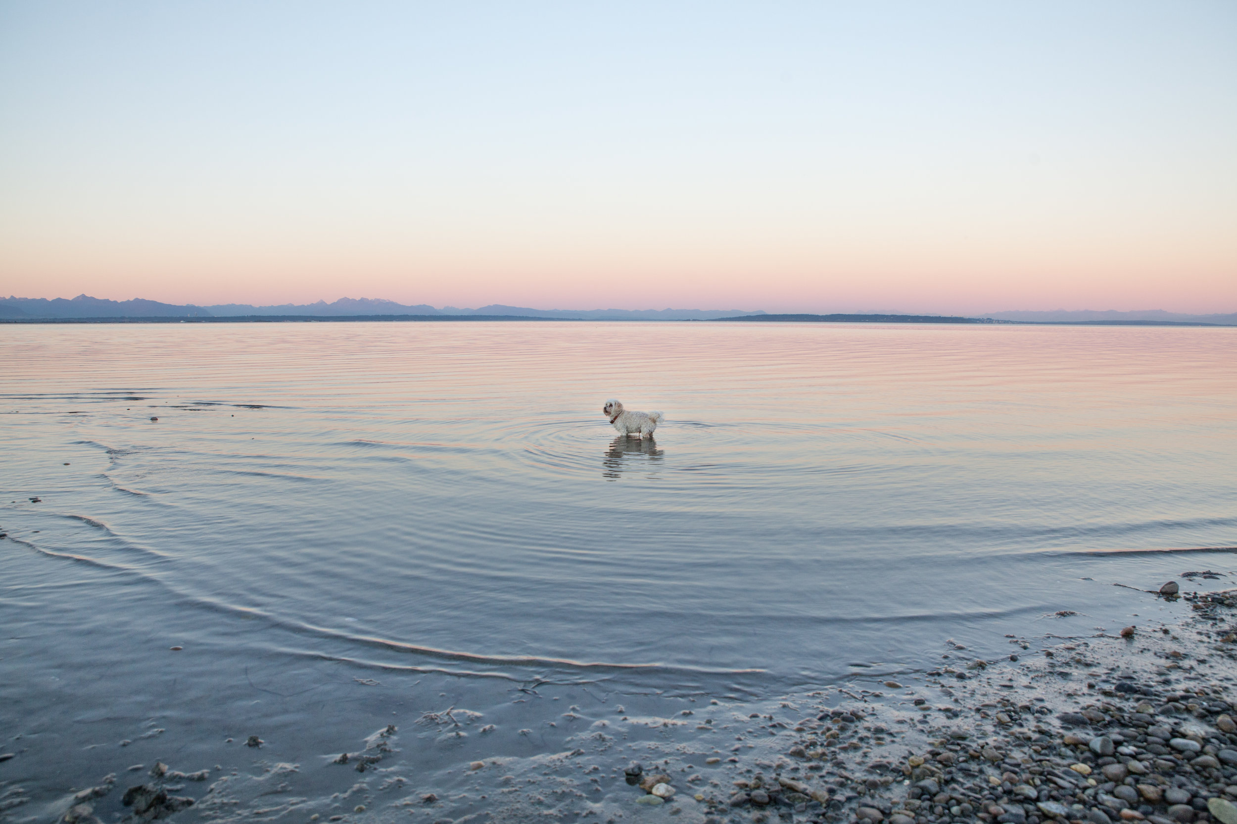 Centennial Beach Family Photos 2018-6.jpg