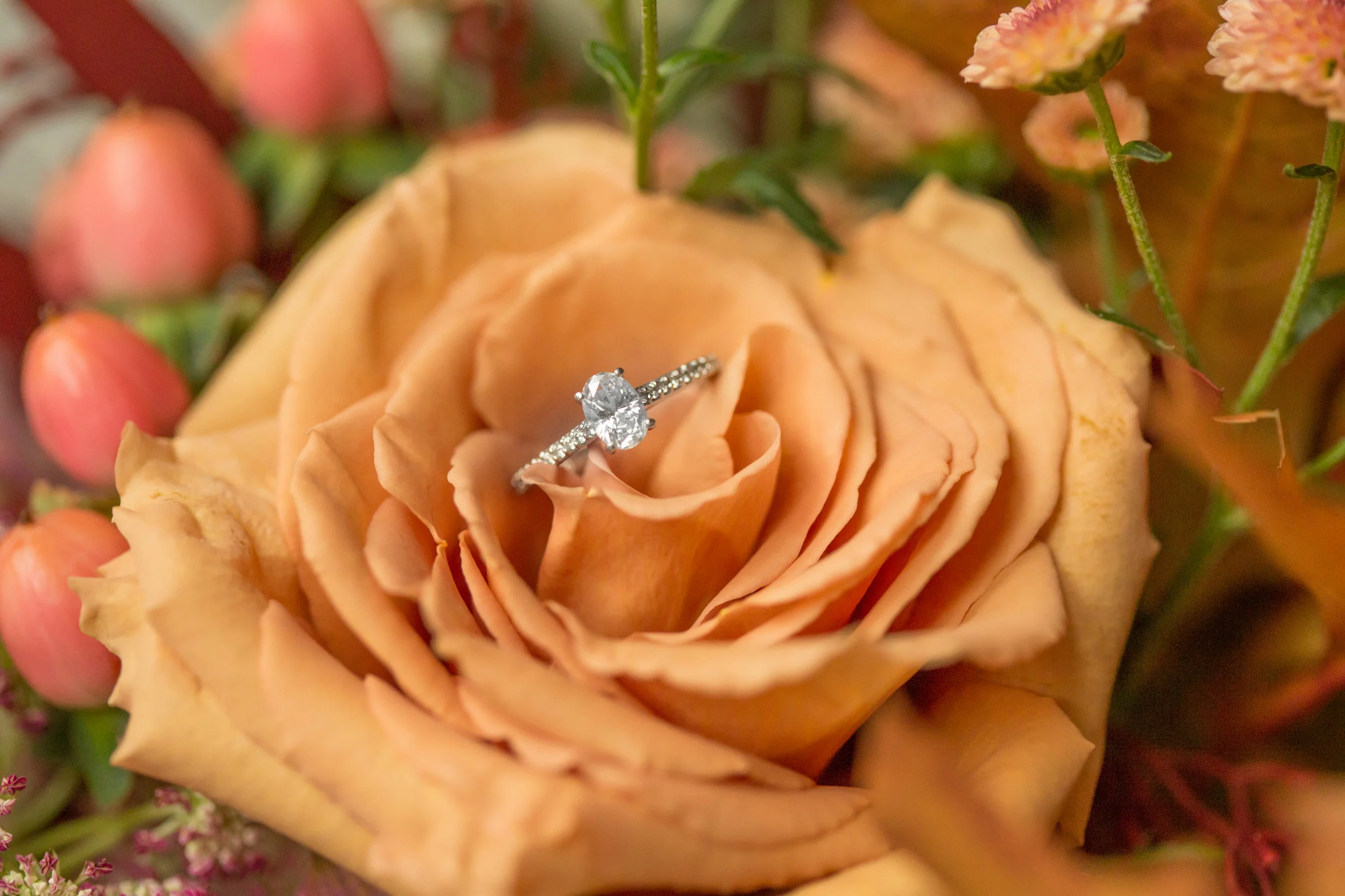 Community Photography - Styled Shoot -139.jpg