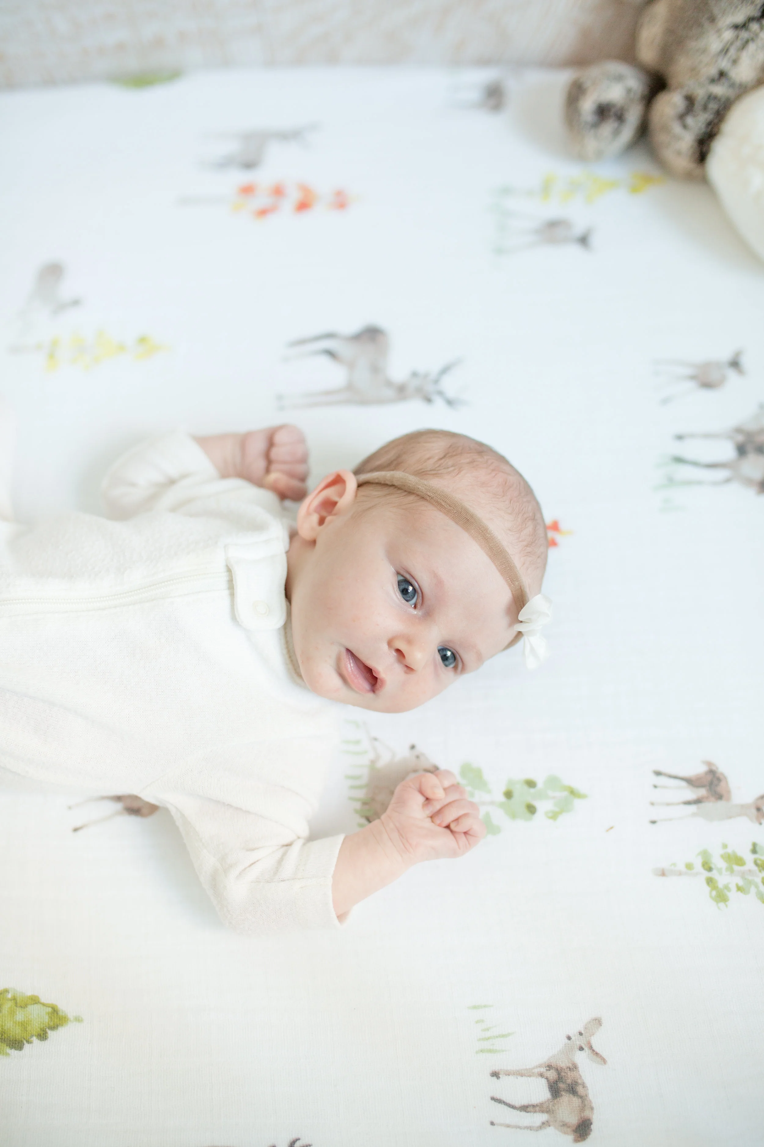 Levi Newborn Photos-50.jpg