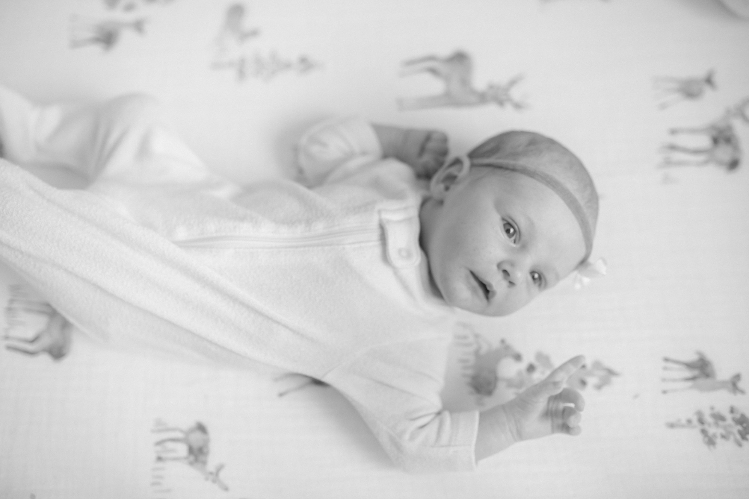 Levi Newborn Photos-51.jpg