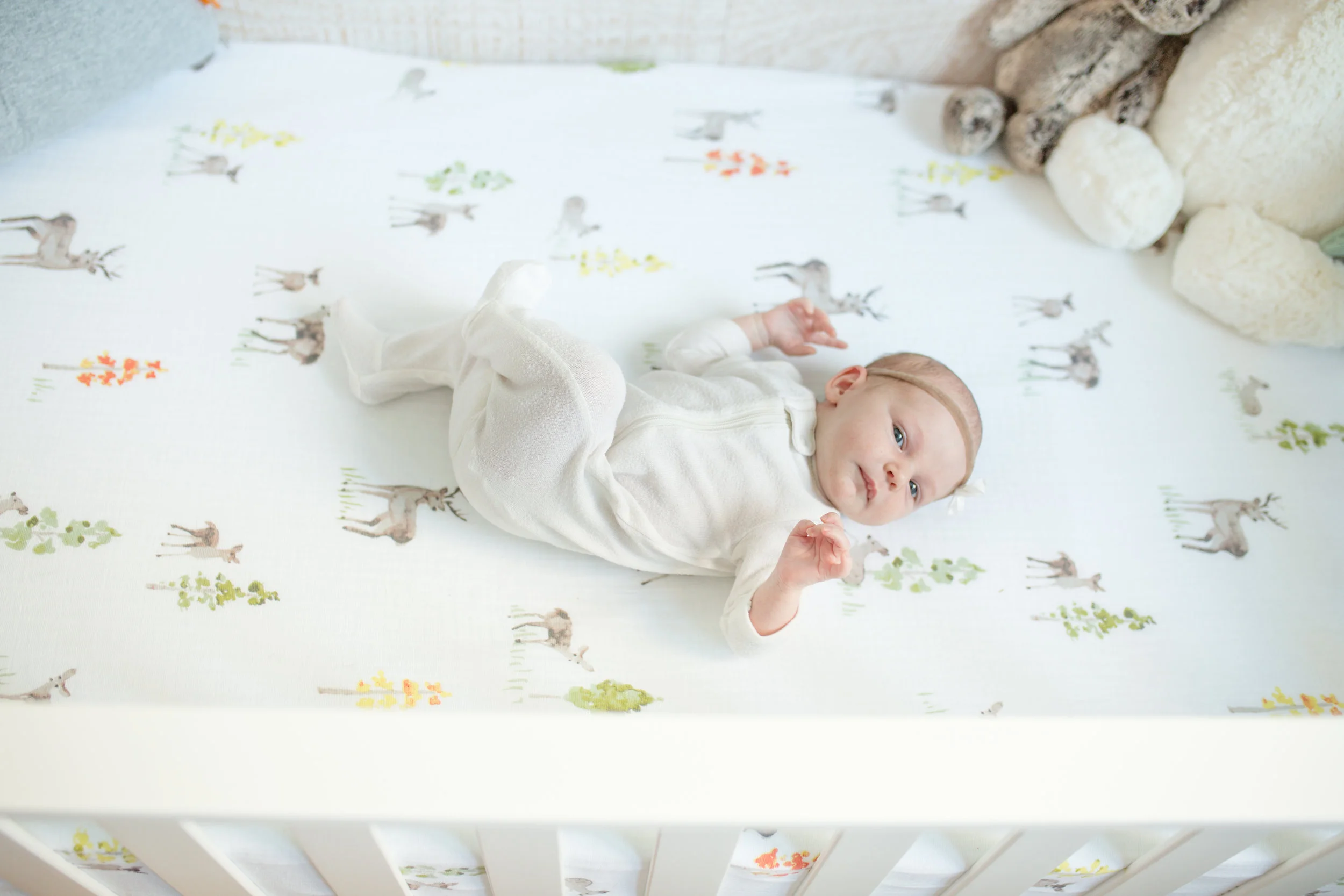 Levi Newborn Photos-52.jpg