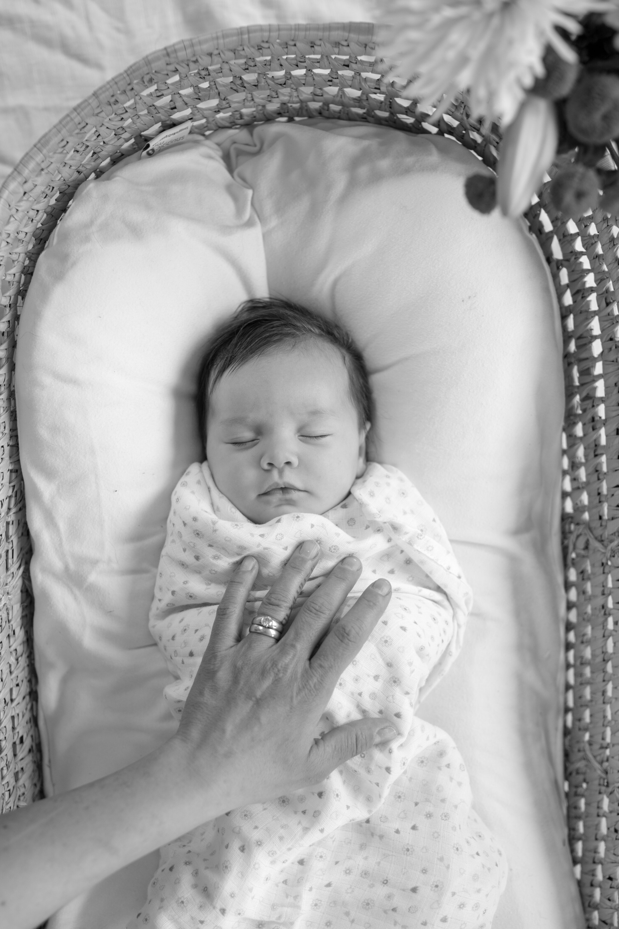 Ladner Newborn Photos-40.jpg