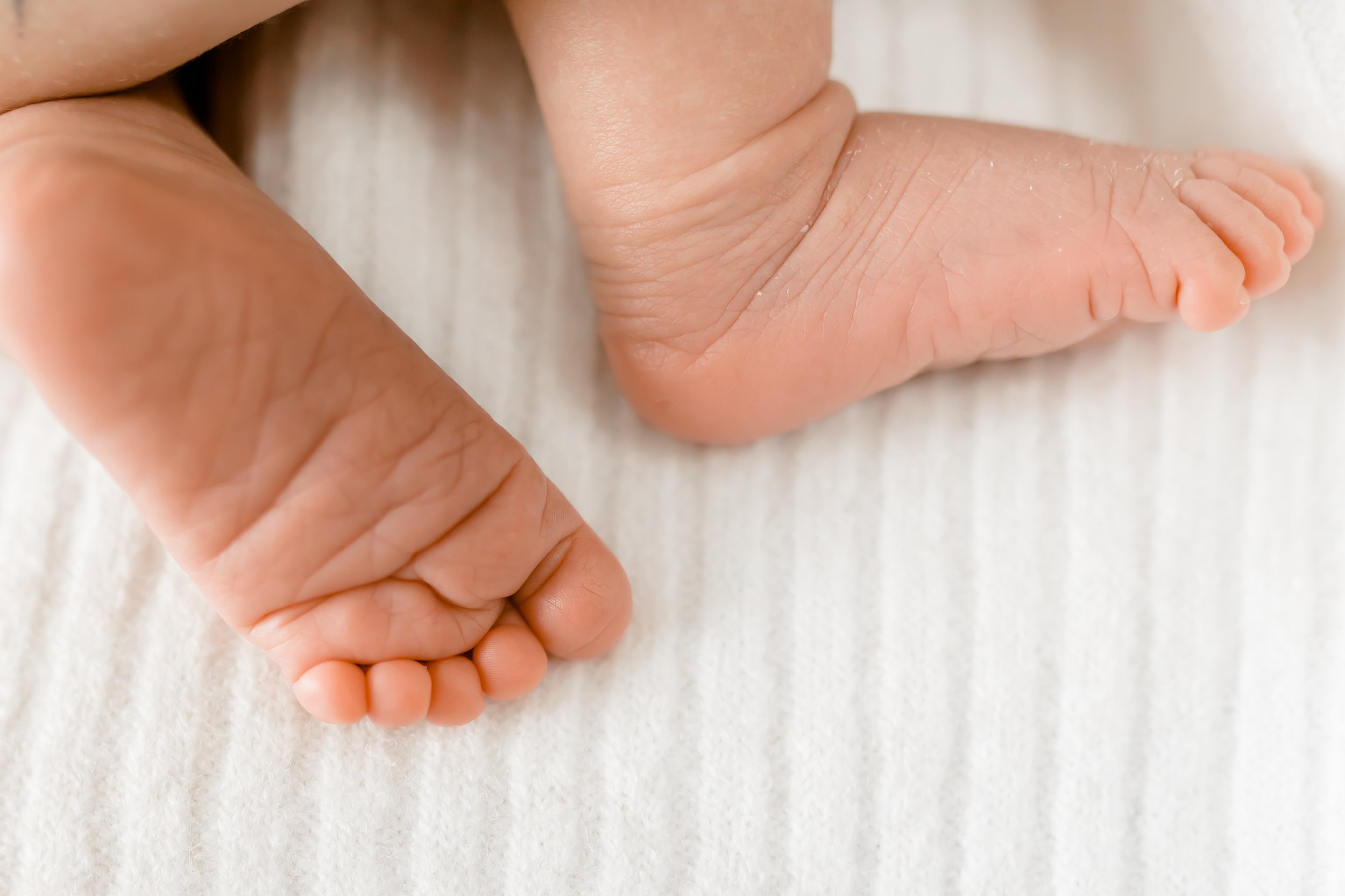 Tsawwassen Newborn Photos.jpg