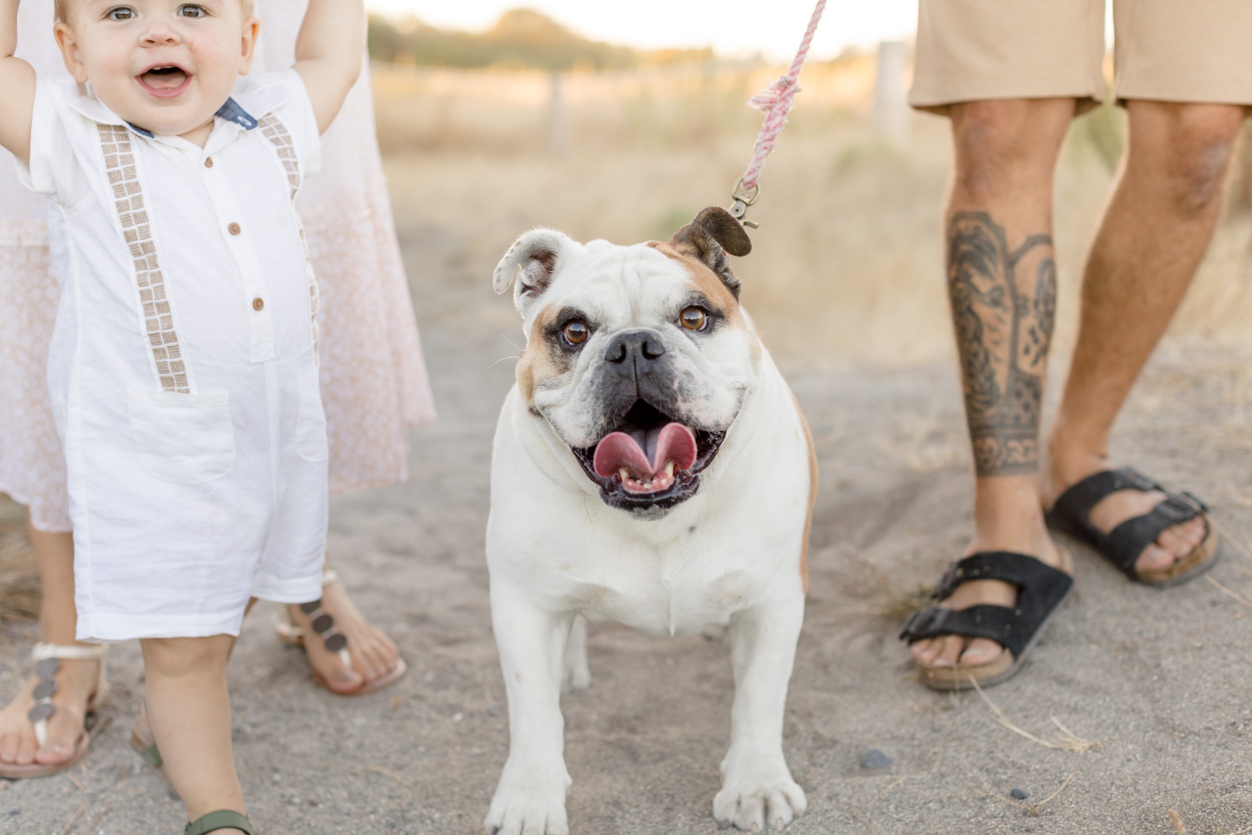 Centennial Beach Family Photos - Tsawwassen-4.jpg