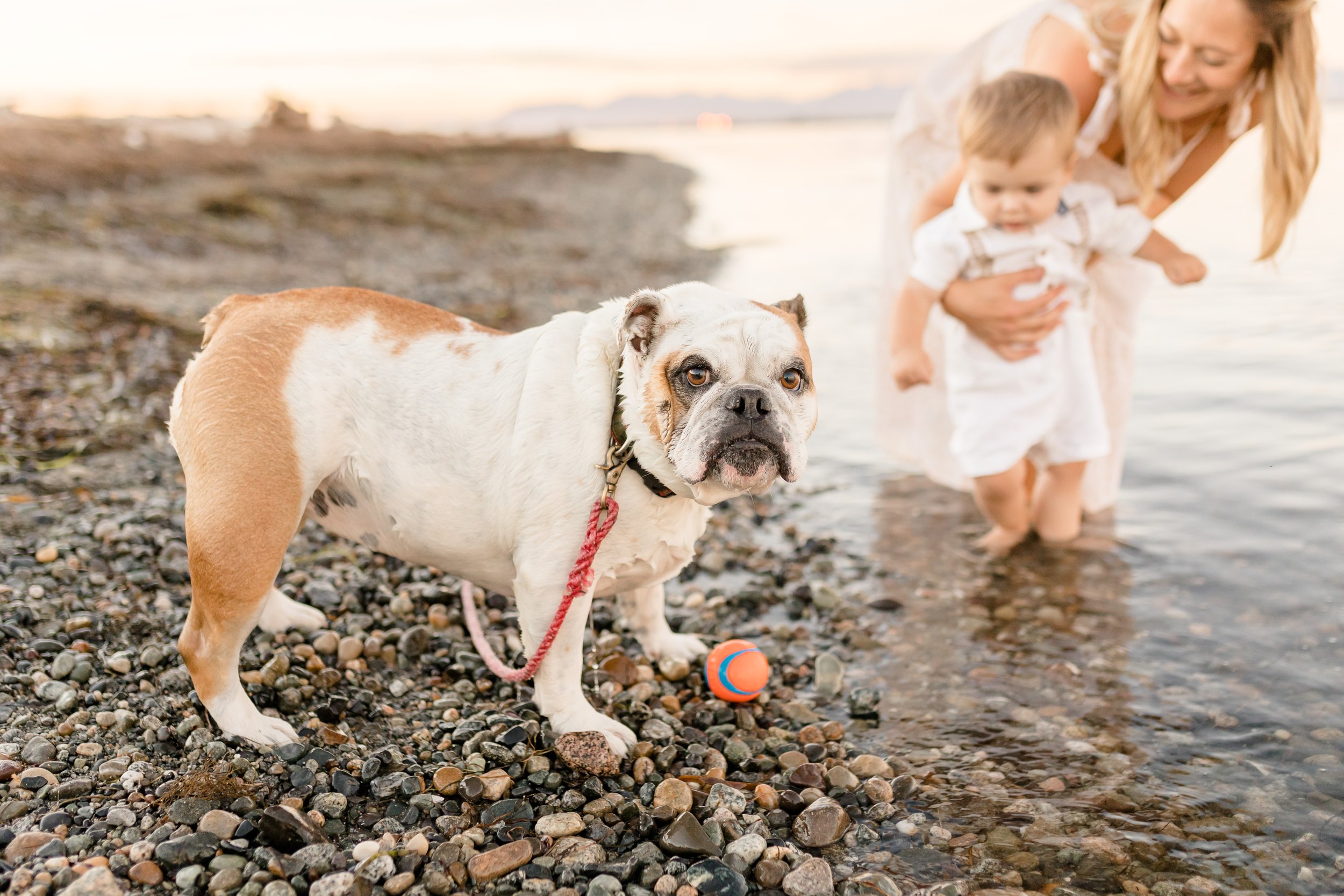 Centennial Beach Family Photos - Tsawwassen-28.jpg