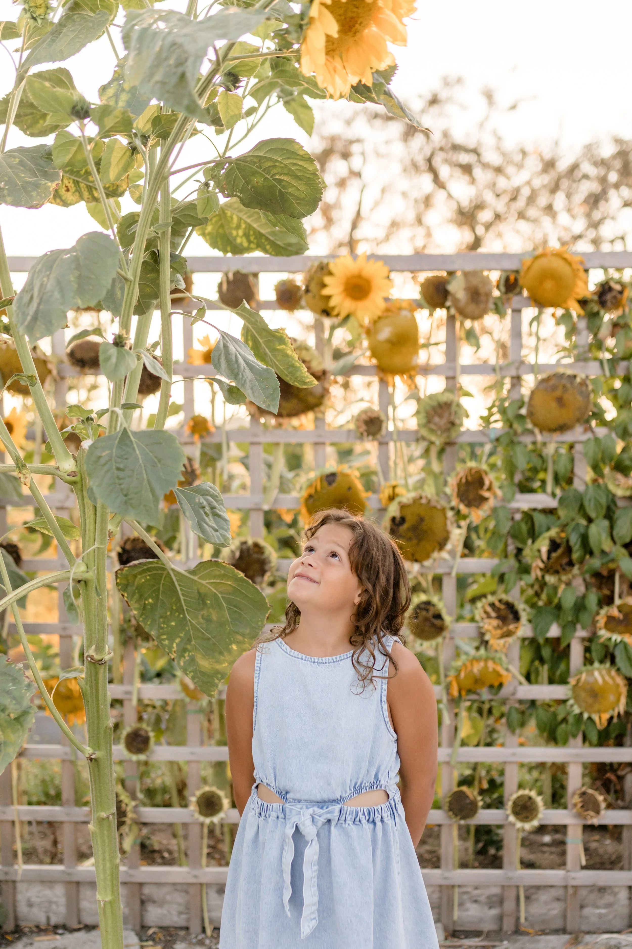Earthwise Garden Tsawwassen.jpg