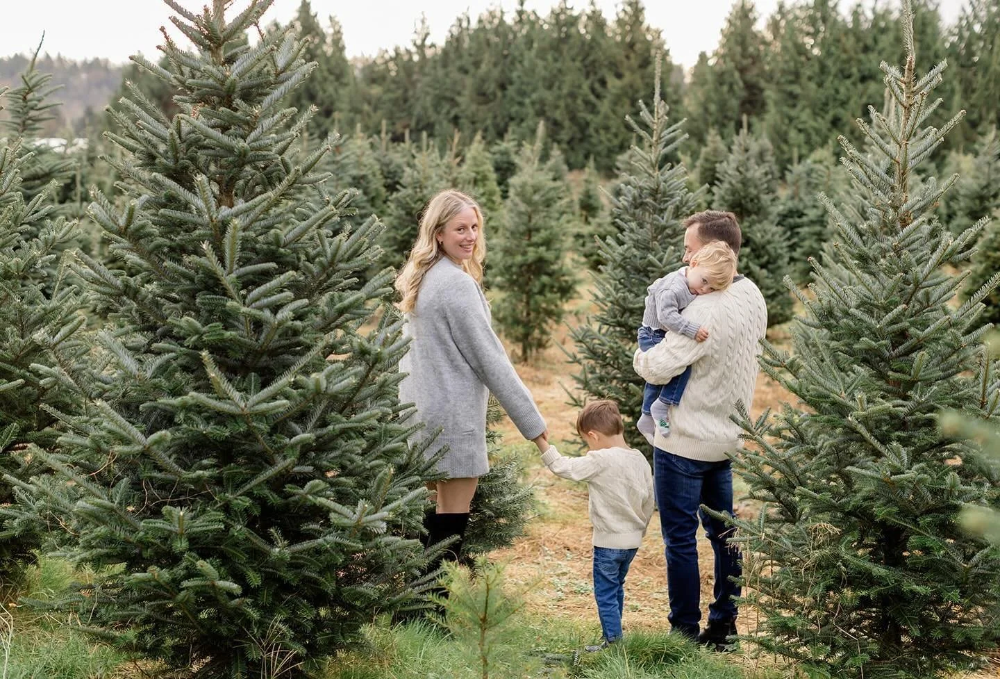 I&rsquo;m sending out my first round of Christmas Tree Farm minis this morning, and they are looking amazing! Thank you again to everyone who made it. A big shoutout to @aldoracreschristmas (if you want to get a U-pick Christmas tree, make sure to ch