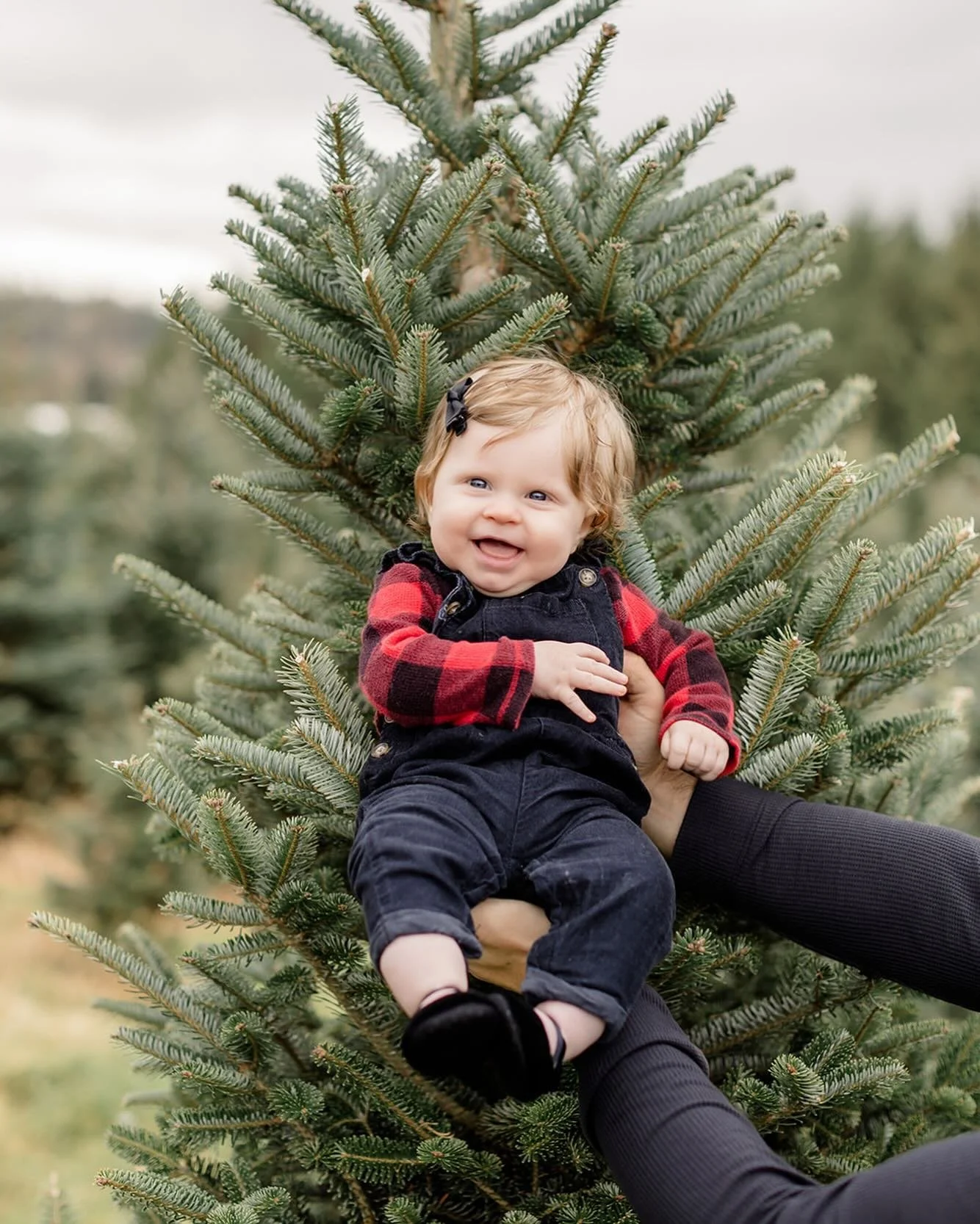 Go check your inbox @detailsbydallas. You have happy mail waiting for you 💌😊

#christmas #christmasmini #christmasphotos  #familyphotos  #tsawwassen #vancouverbc #langley #vancouverfamilyphotographer #vancouvernewbornphotographer #fraservalleyphoto