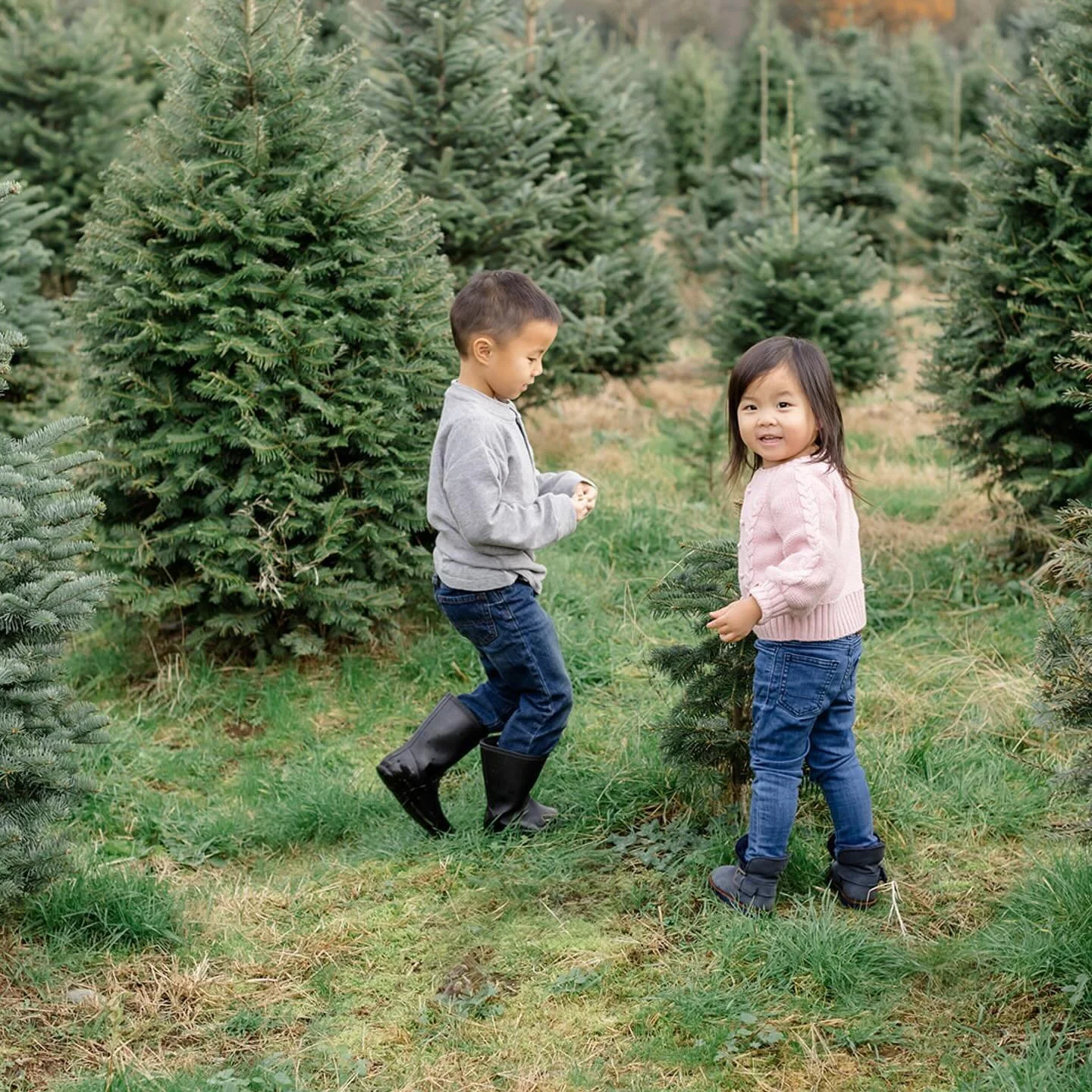 Can you believe the Elf arrives tonight?! Happy last day of November! December, here we go! 🎄✨ 

Here&rsquo;s a little sneak peek at one of my lovely families from last weekend&rsquo;s Christmas Tree Farm mini sessions at @aldoracreschristmas! It&rs