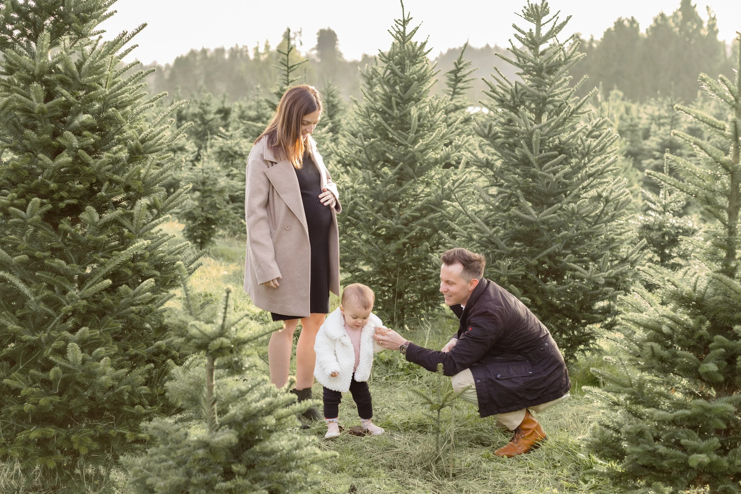Langley Christmas Tree Farm - Aldor Acres-4.jpg