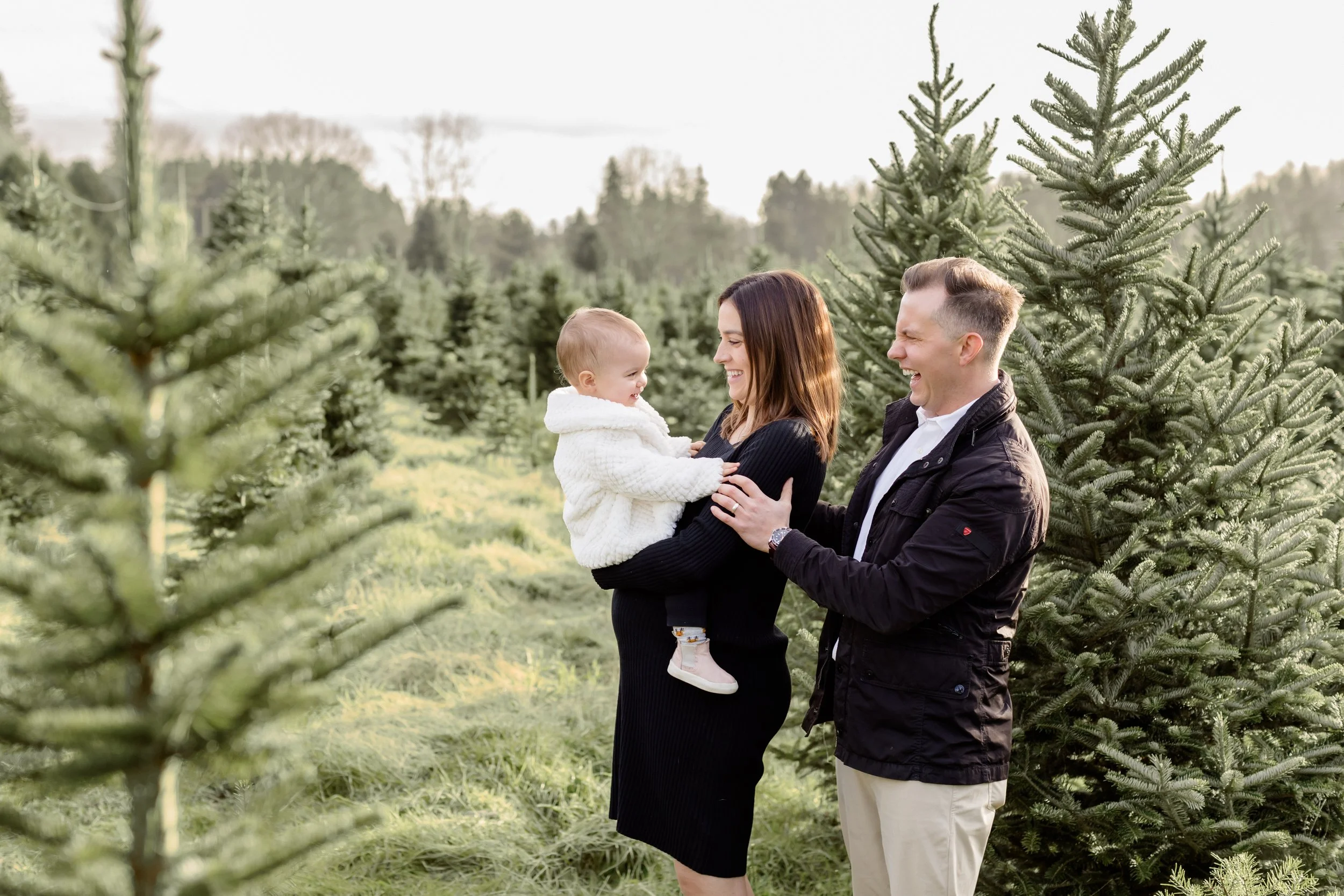 Langley Christmas Tree Farm - Aldor Acres-5.jpg