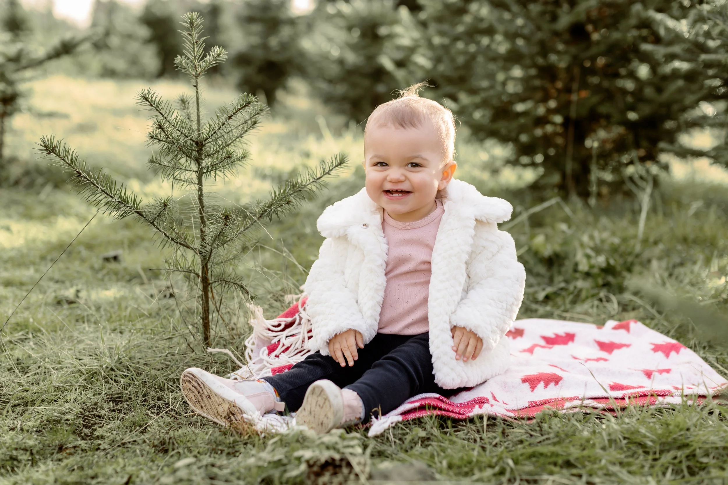 Langley Christmas Tree Farm - Aldor Acres-6.jpg