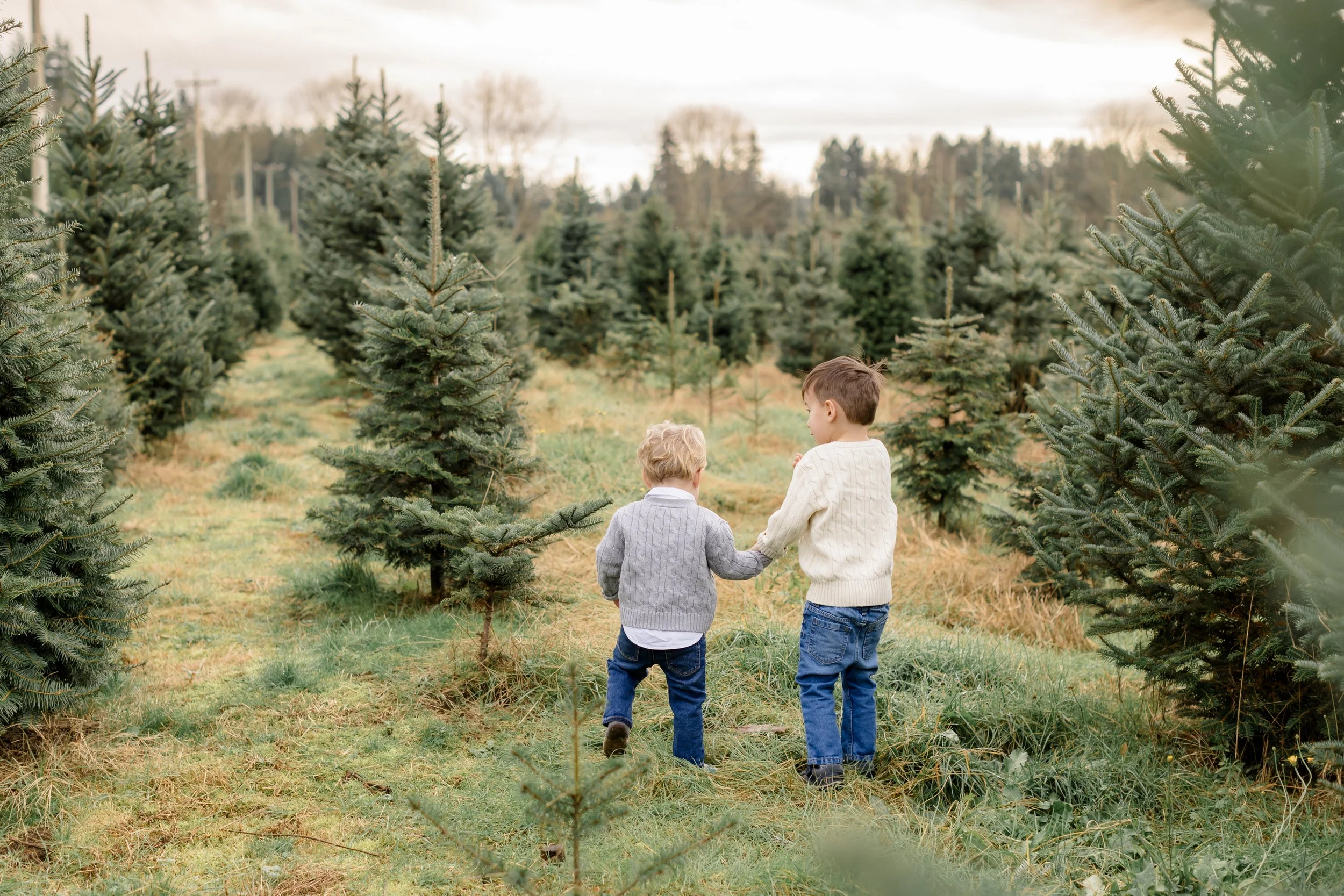Langley Christmas Tree Farm - Aldor Acres-9.jpg