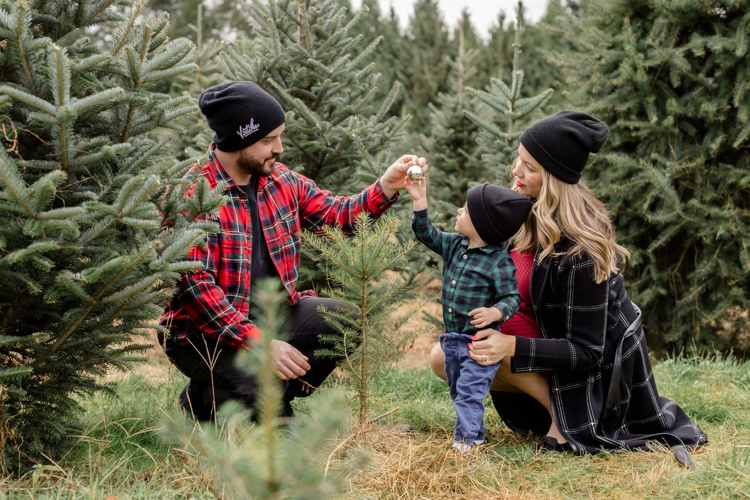 Langley Christmas Tree Farm - Aldor Acres-12.jpg