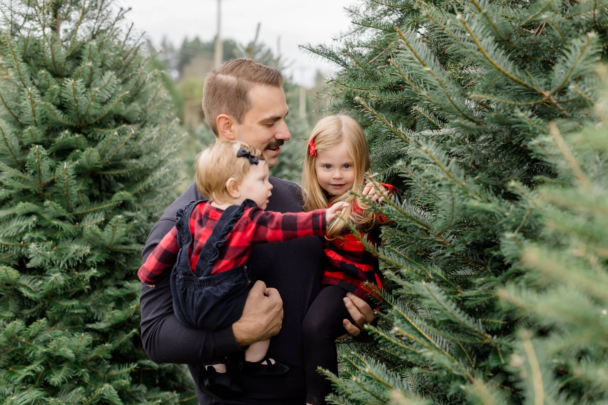 Langley Christmas Tree Farm - Aldor Acres-15.jpg
