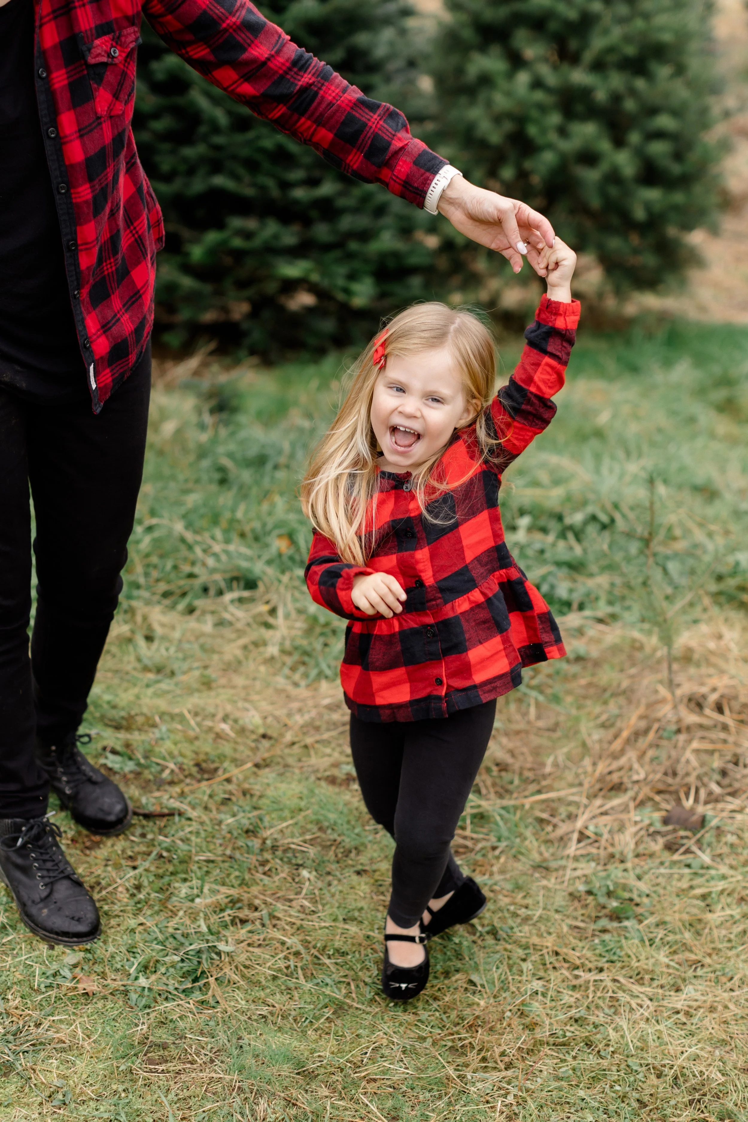 Langley Christmas Tree Farm - Aldor Acres-16.jpg