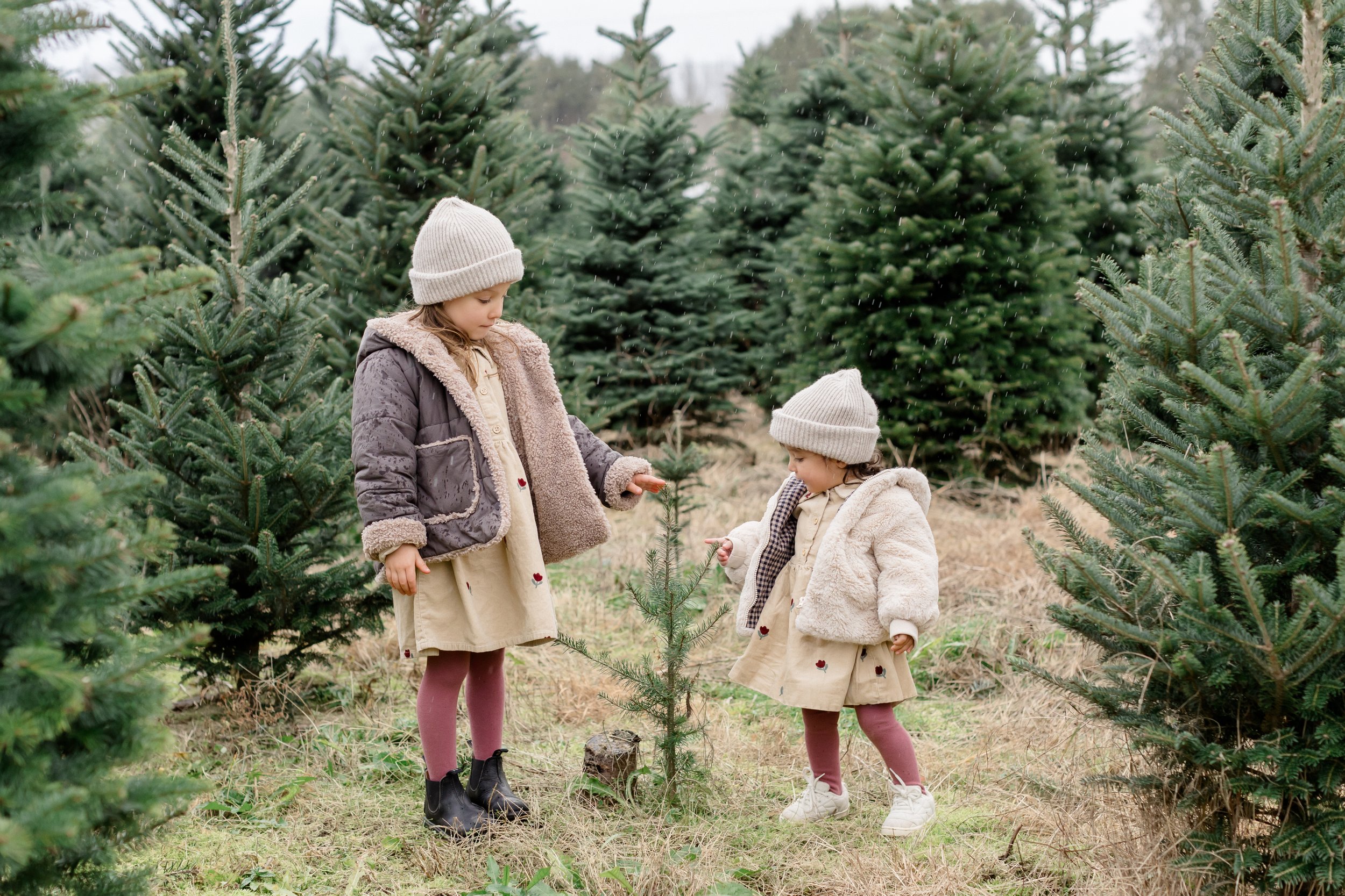 Langley Christmas Tree Farm - Aldor Acres-29.jpg