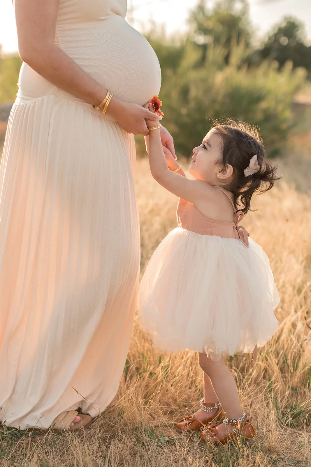 Maternity Photos 2025-29.jpg