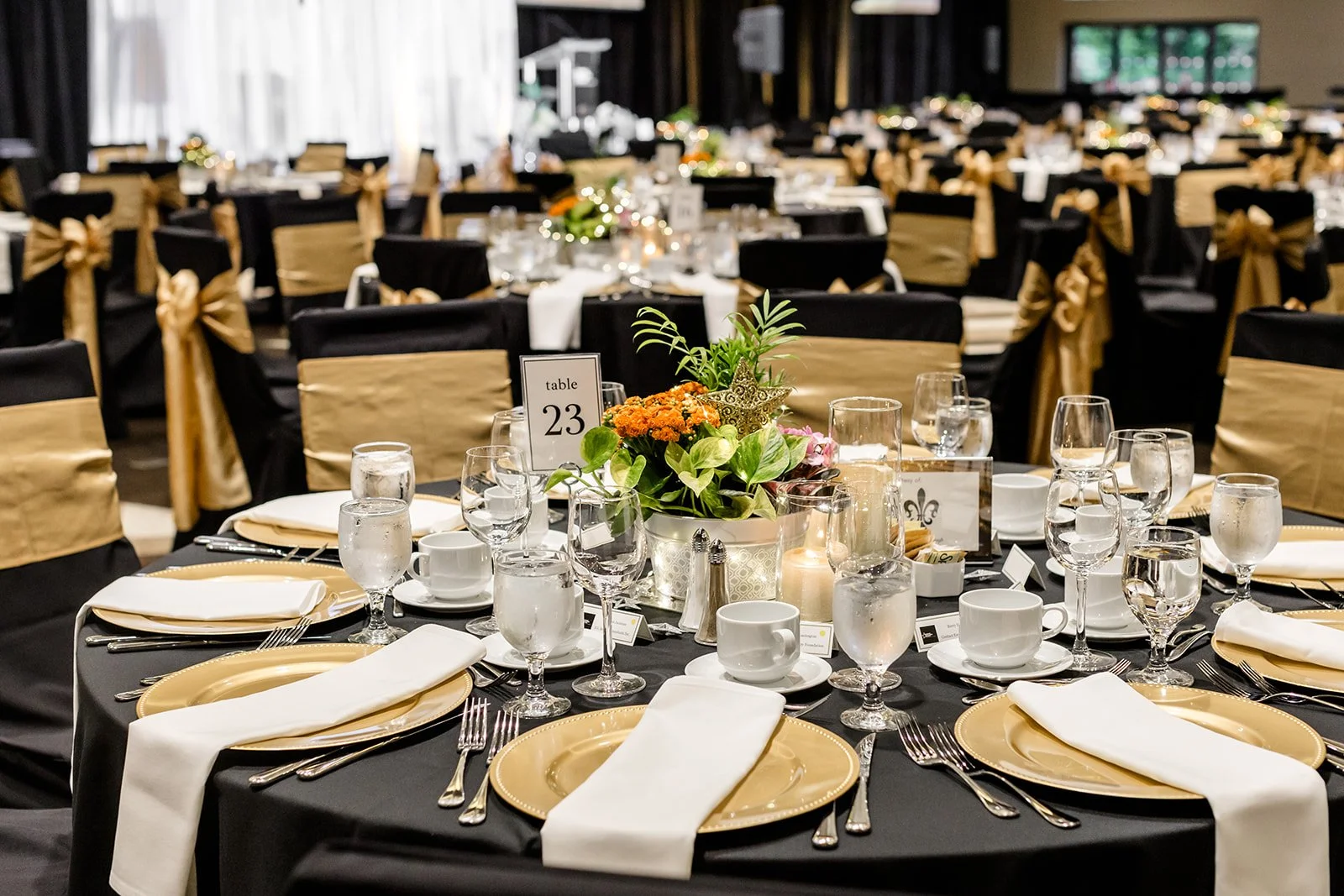 Delta Chamber Awards Gala 2024-2_websize.jpg